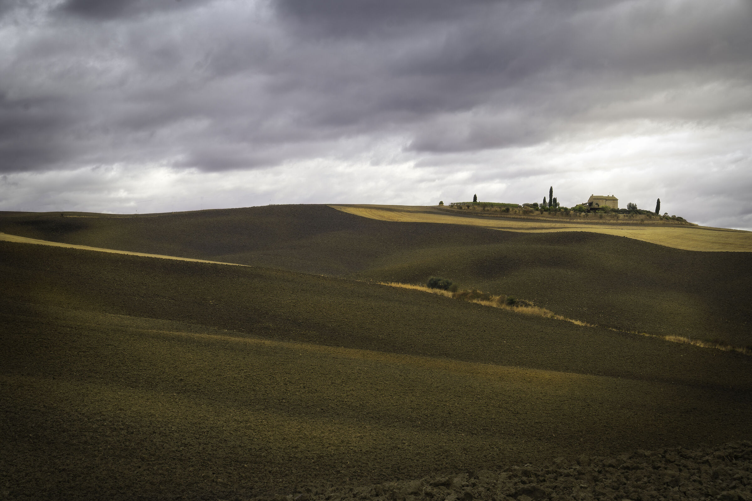 What's around Montalcino