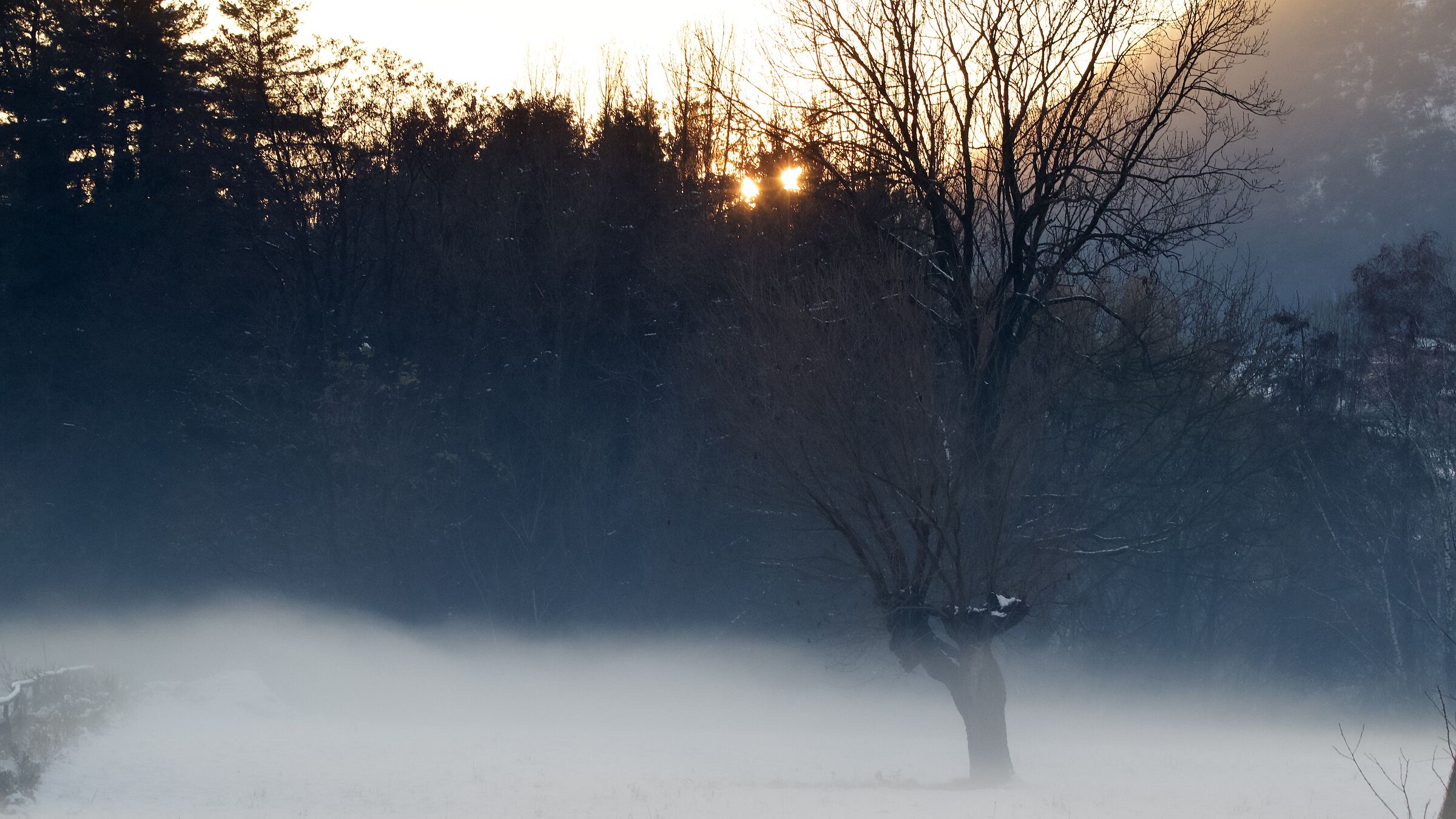 Untitled Photo