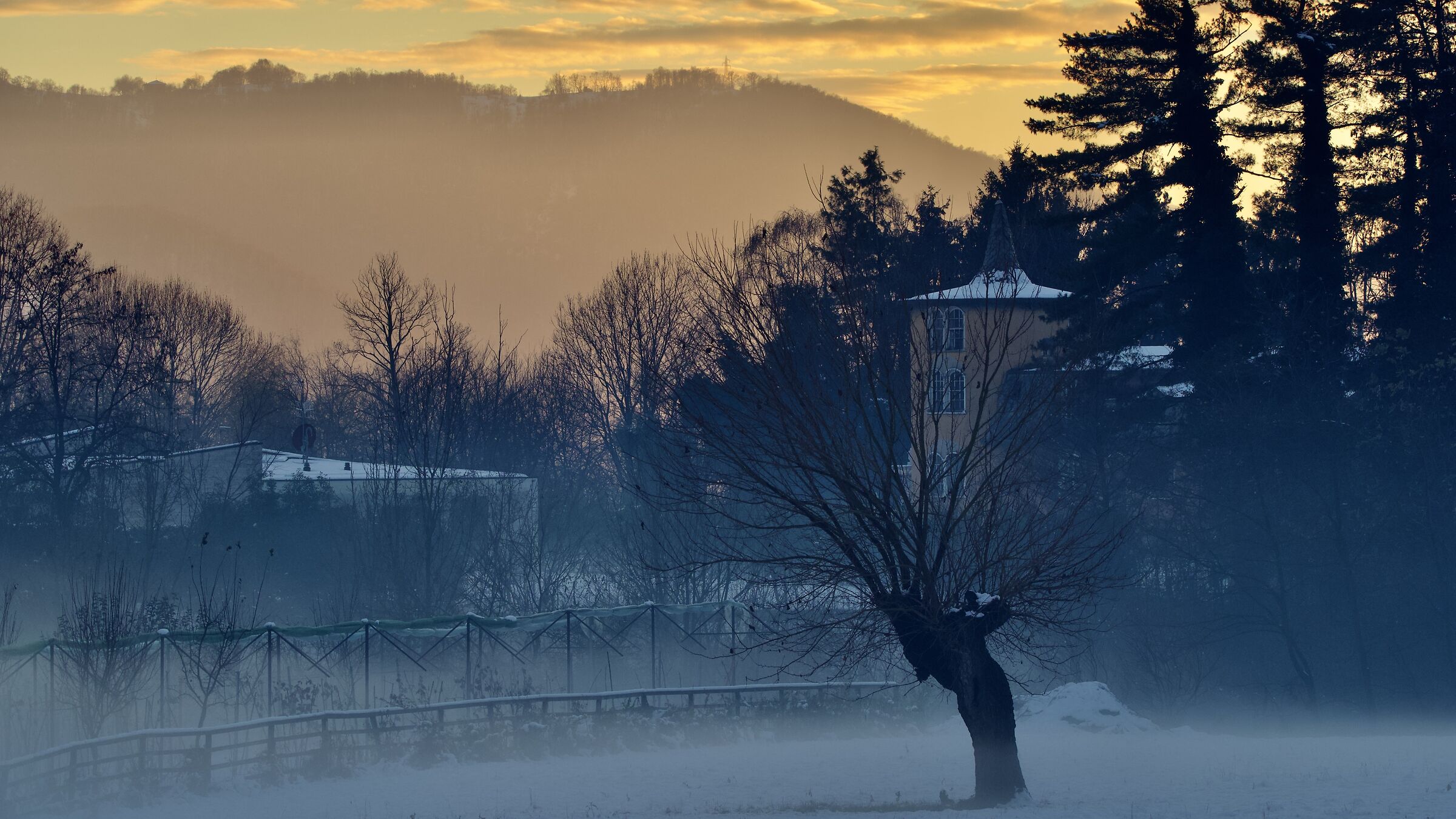 Untitled Photo
