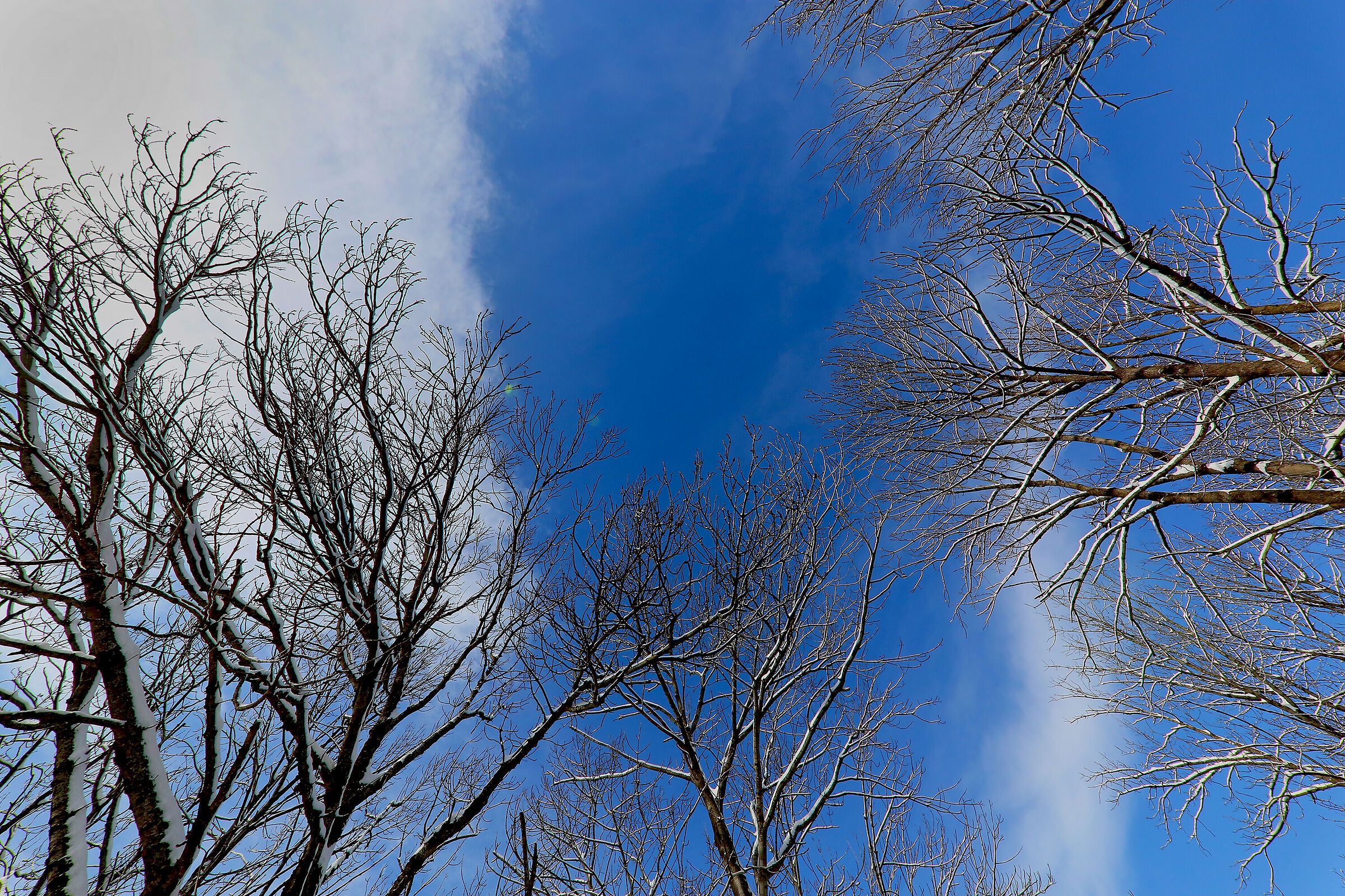 Upega la prima neve 2021