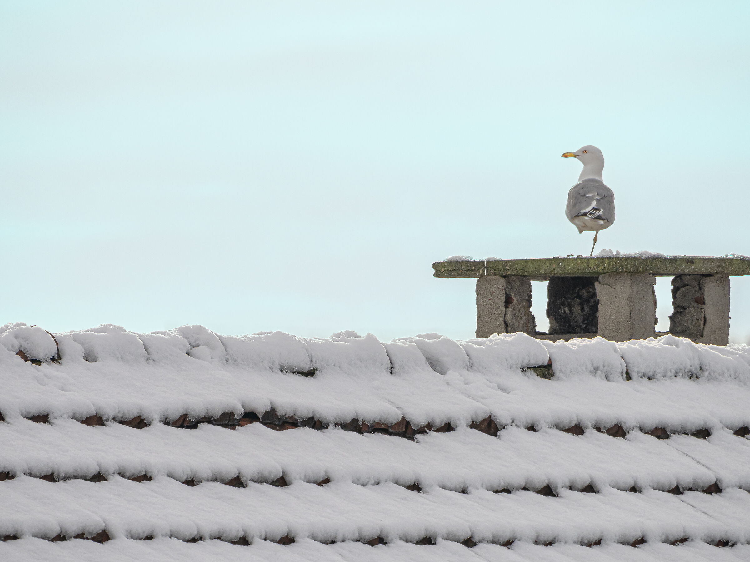 it's a difficult world.....