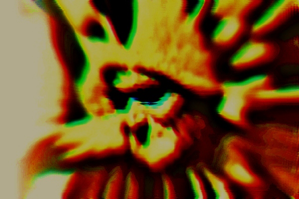 fuga dalla vita