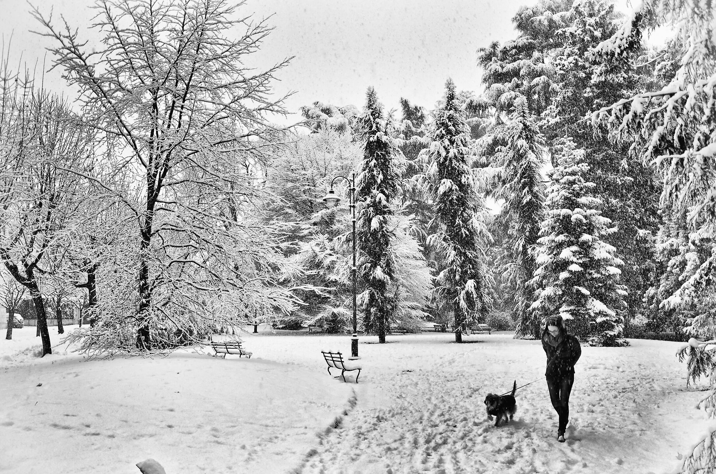 neve in citta'