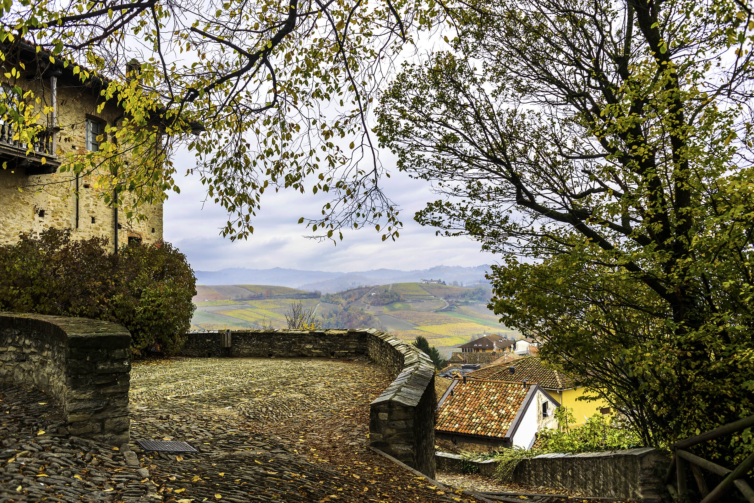the vineyards in autumn from the Castle of Serralunga d'Alba