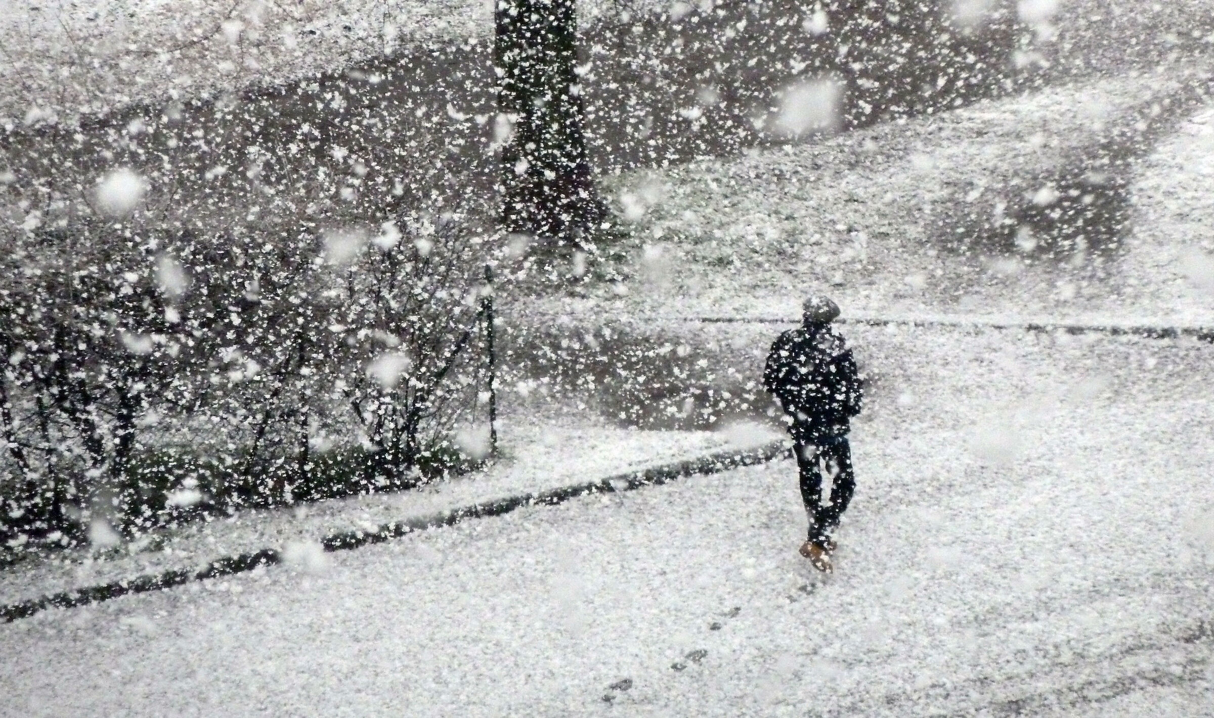 in cammino sotto la neve