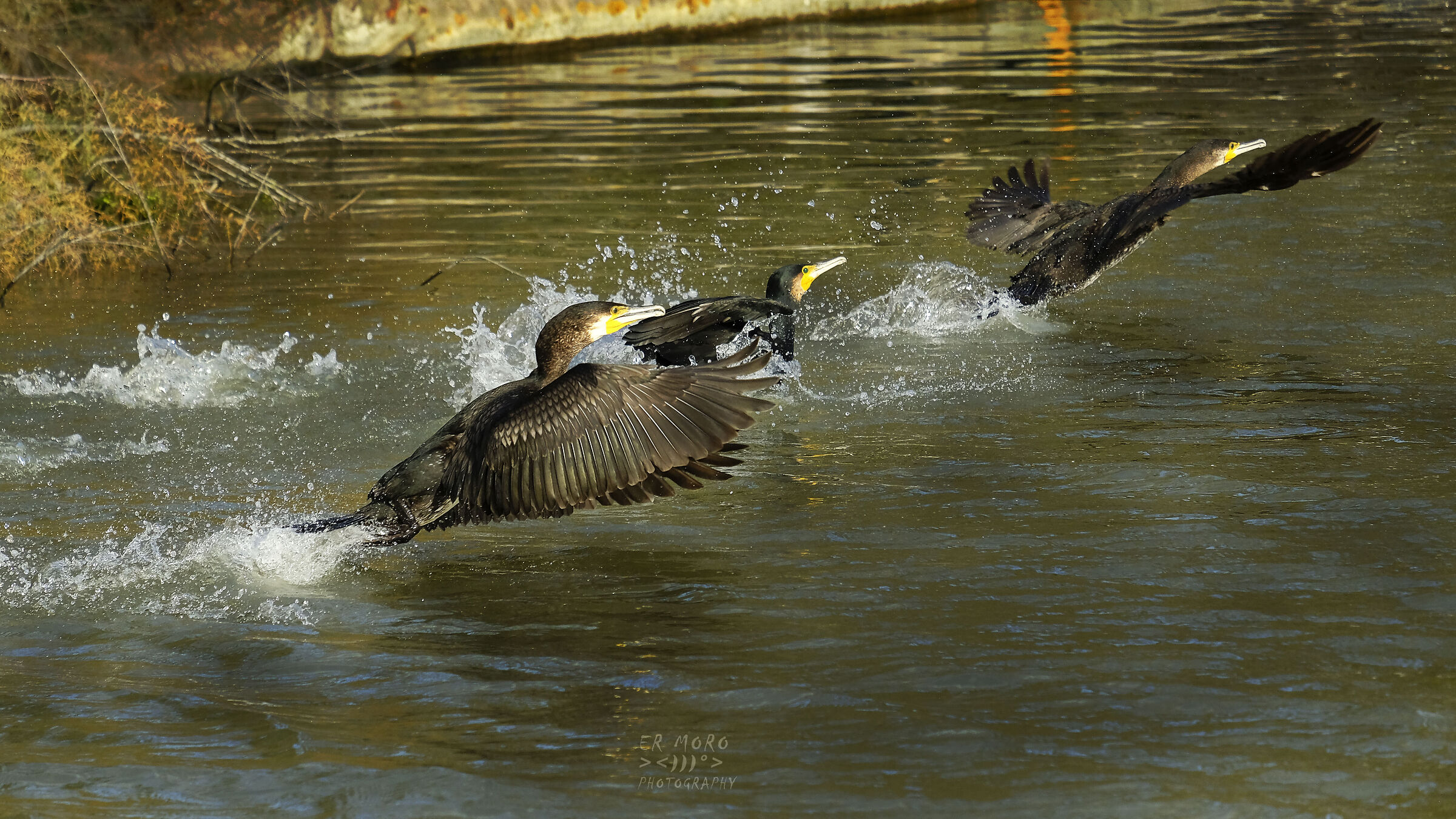 The last one who arrives pays to drink