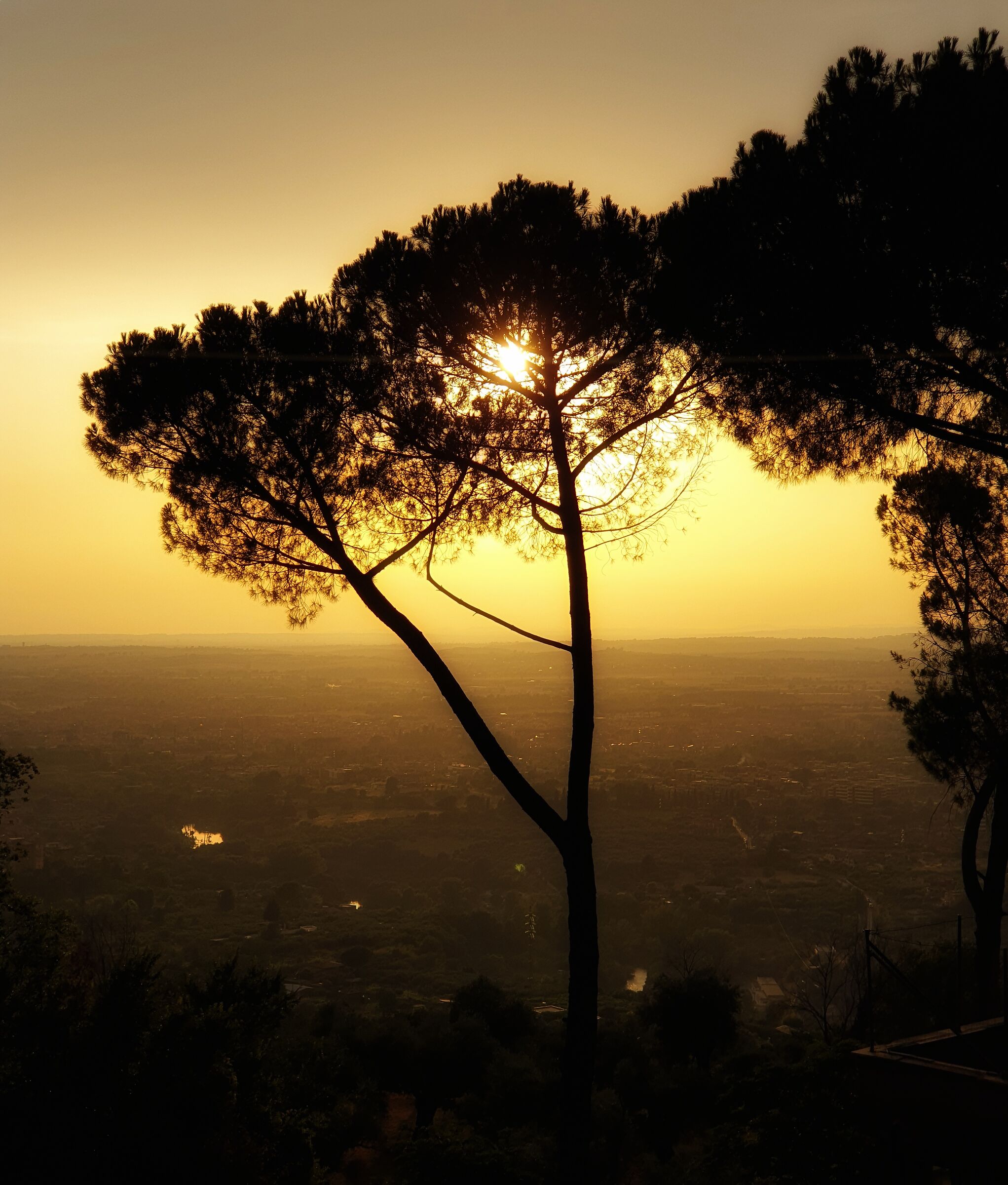 Golden sunset