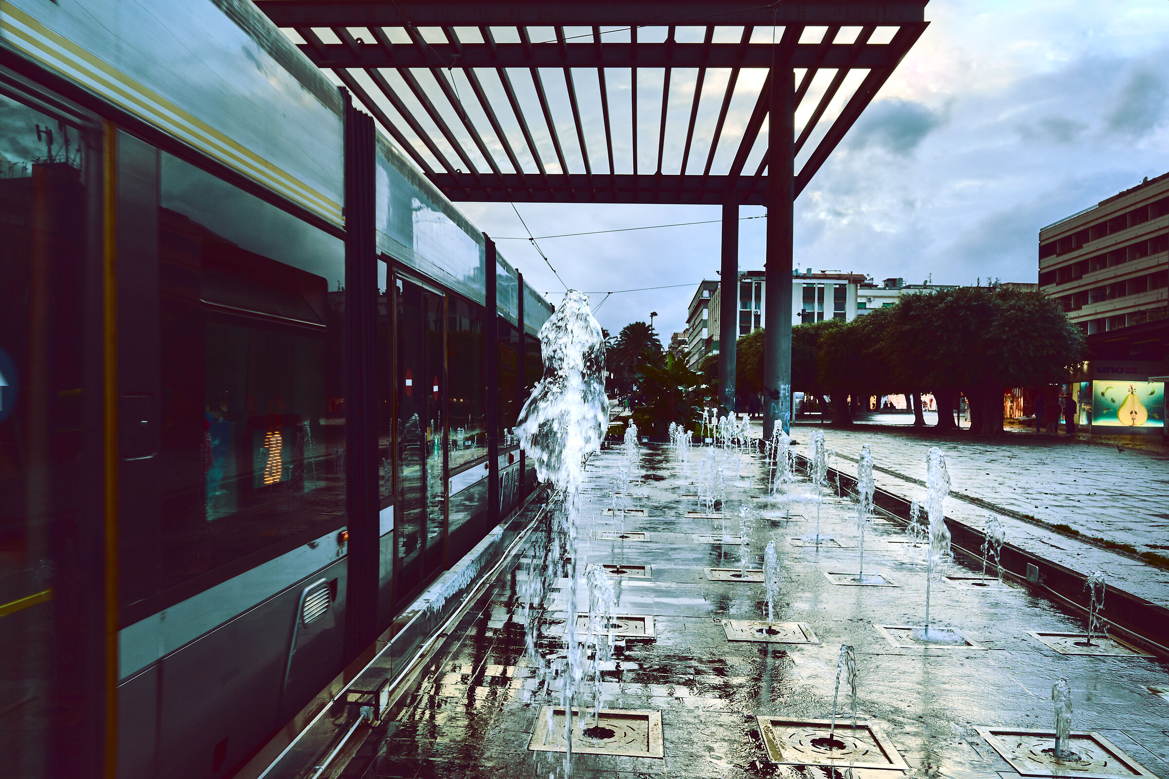 Untitled Photo