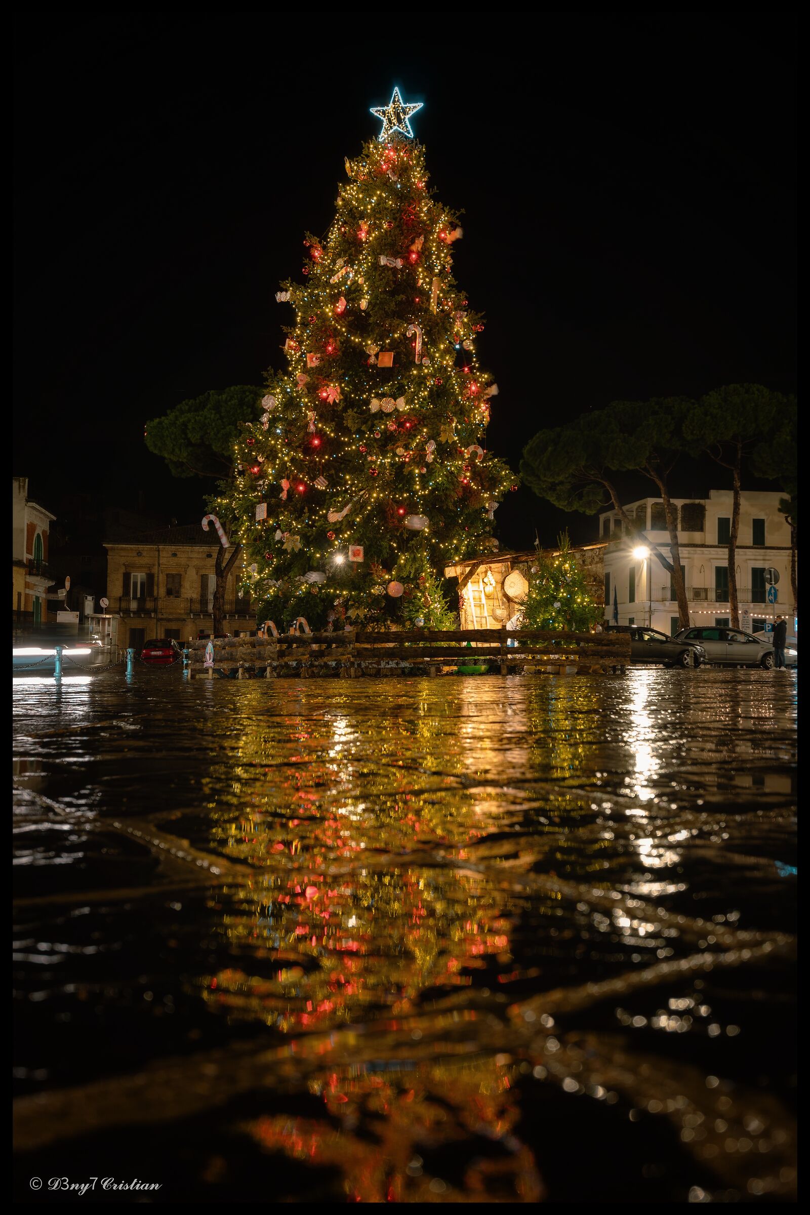 L'albero e il riflesso...