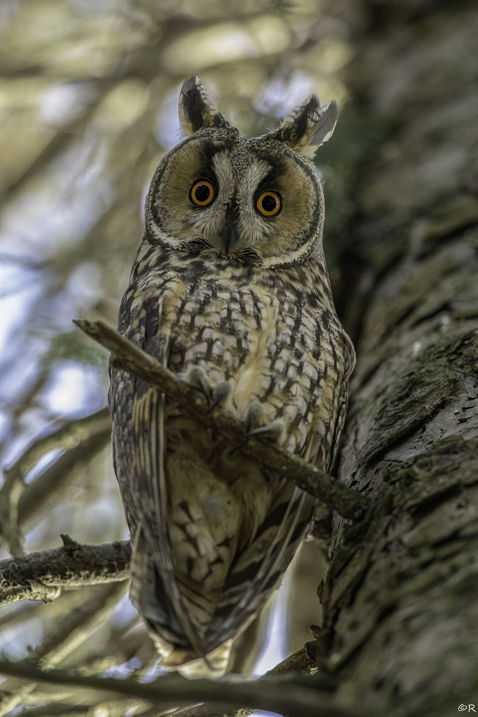 Eyes wide open
