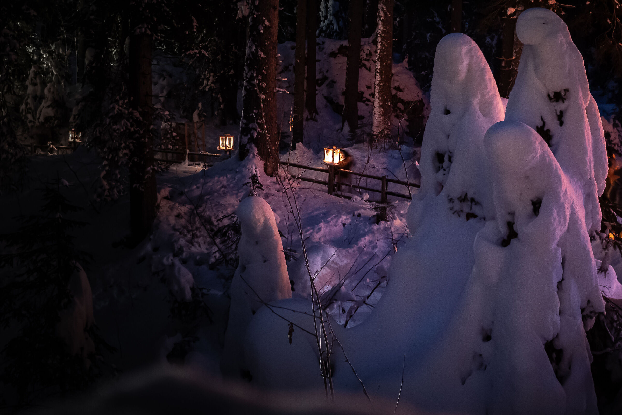 The snow worshippers