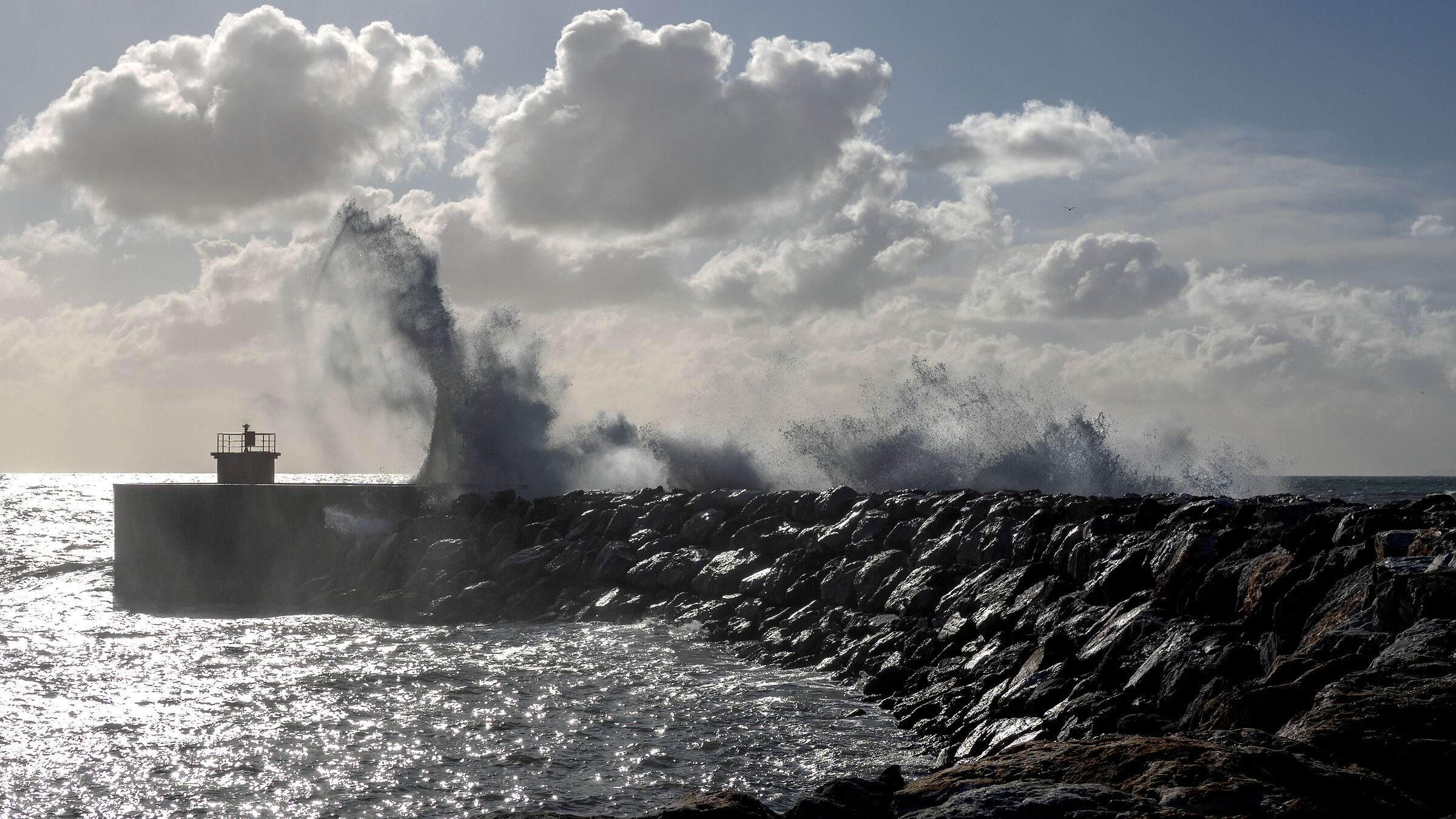 The director of the waves