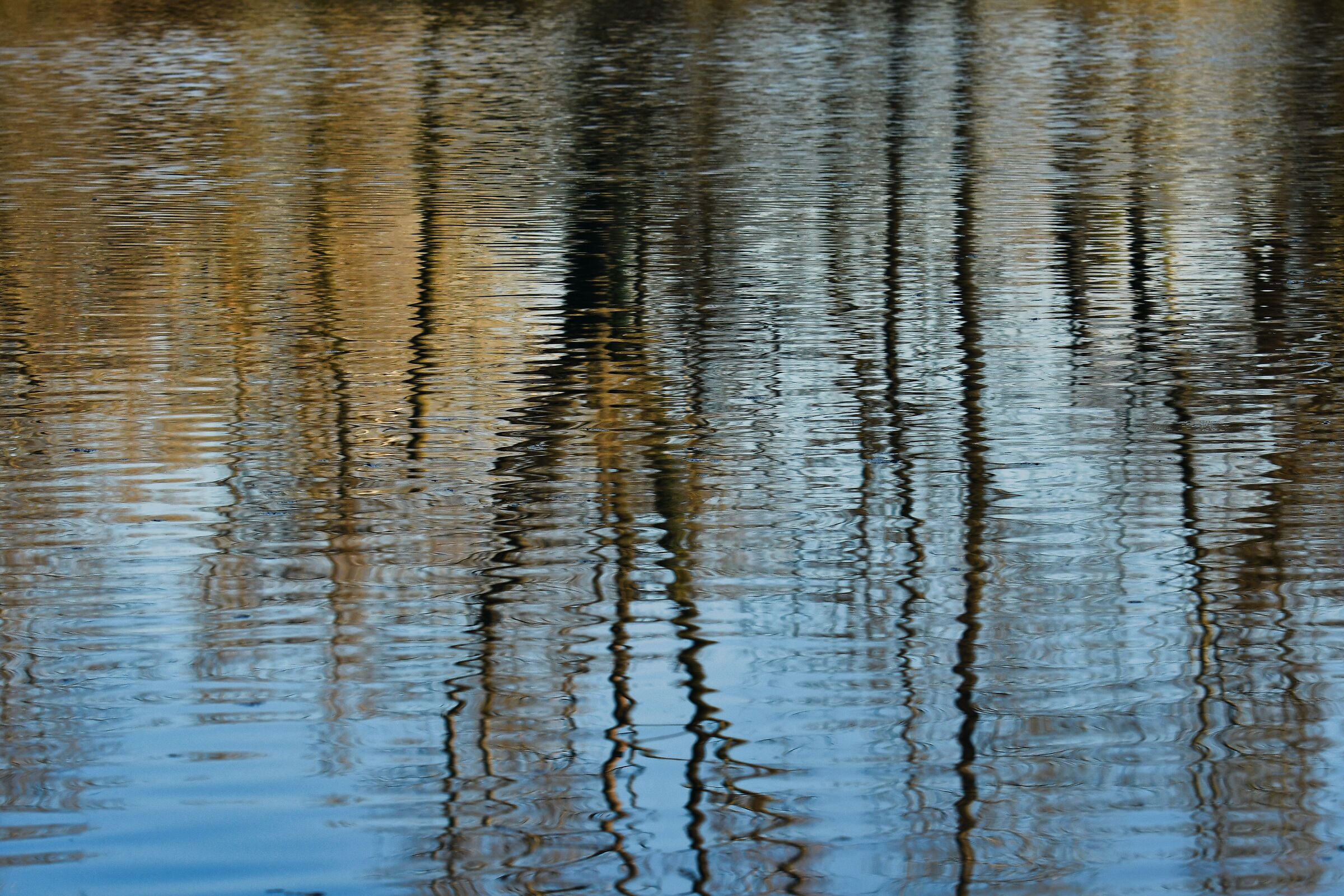 Bocchi Rivolta d'Adda