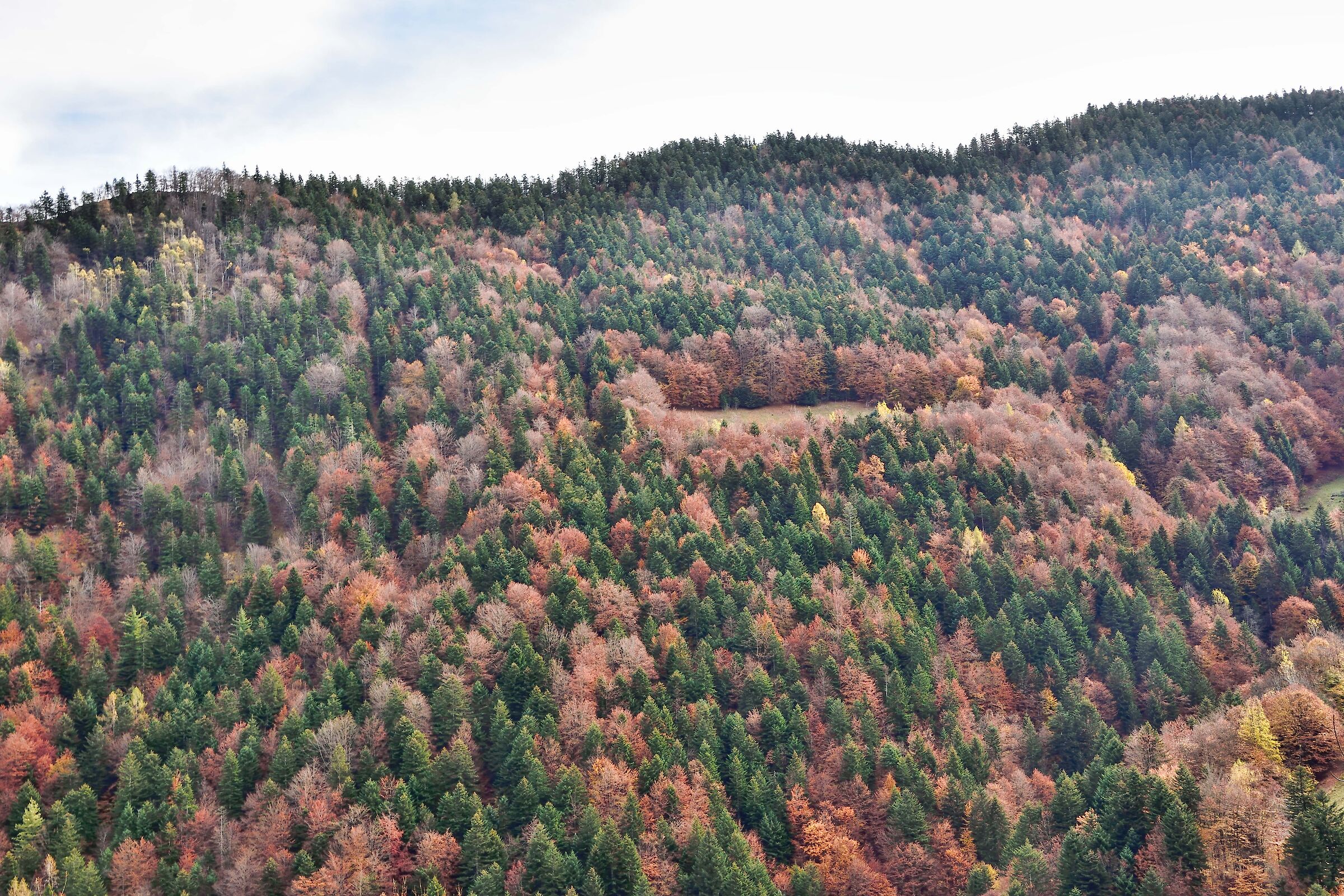 autunno 2020 ValSesia Val Mastallone