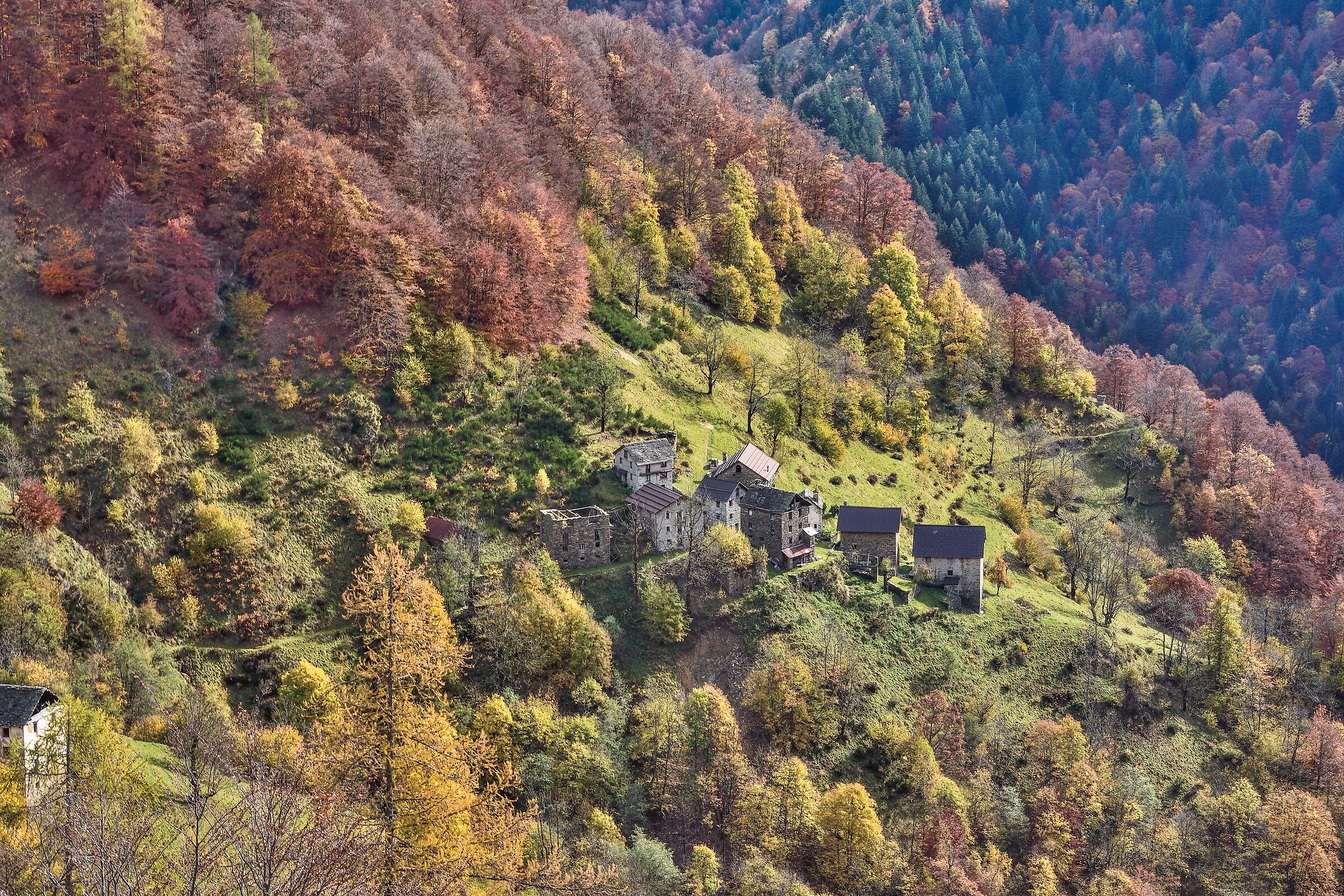 autunno 2020 ValSesia Val Mastallone
