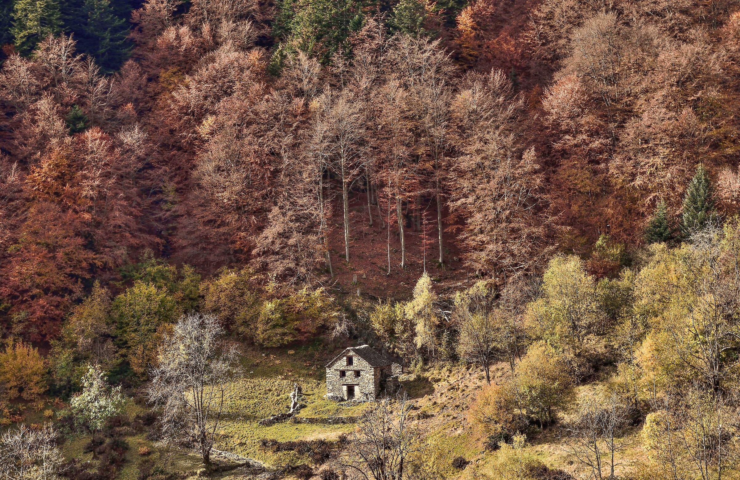 autunno 2020 ValSesia Val Mastallone