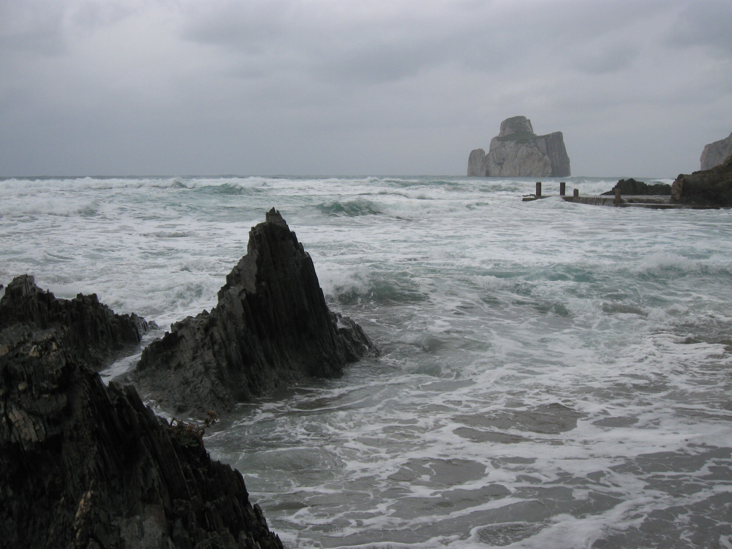 Gale. Masua (South Sardinia)