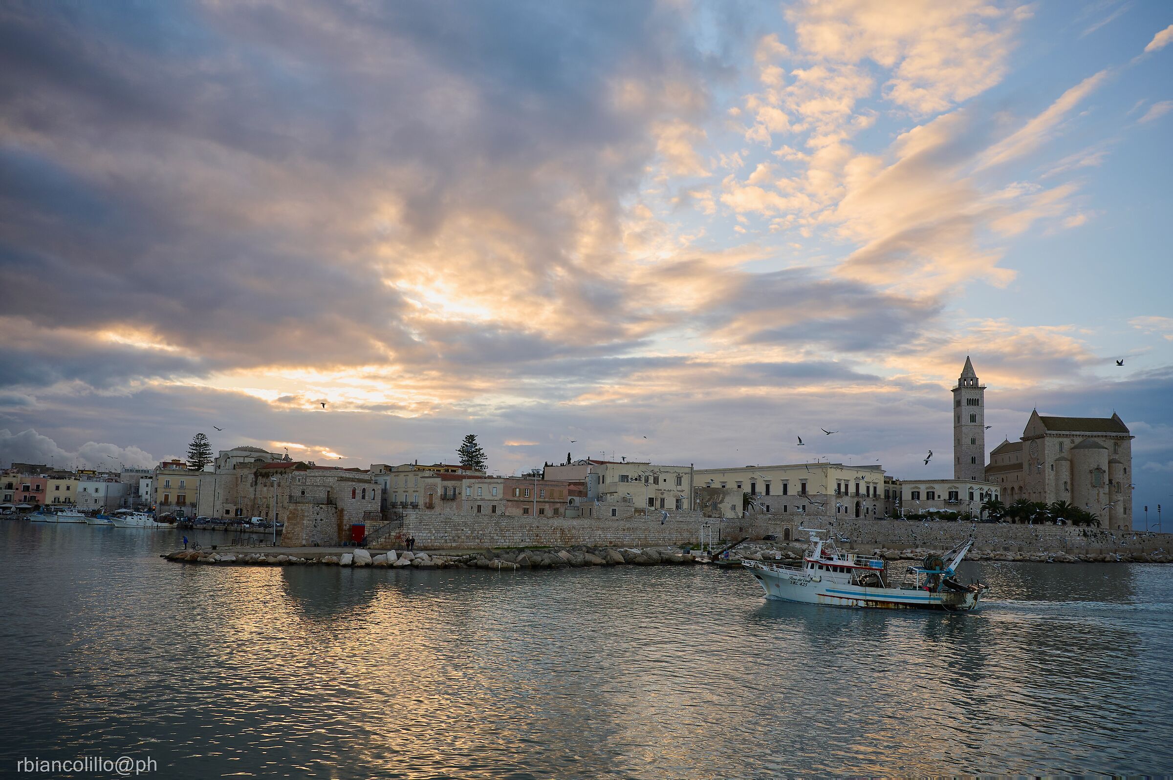 THE CATHEDRAL OF TRANI