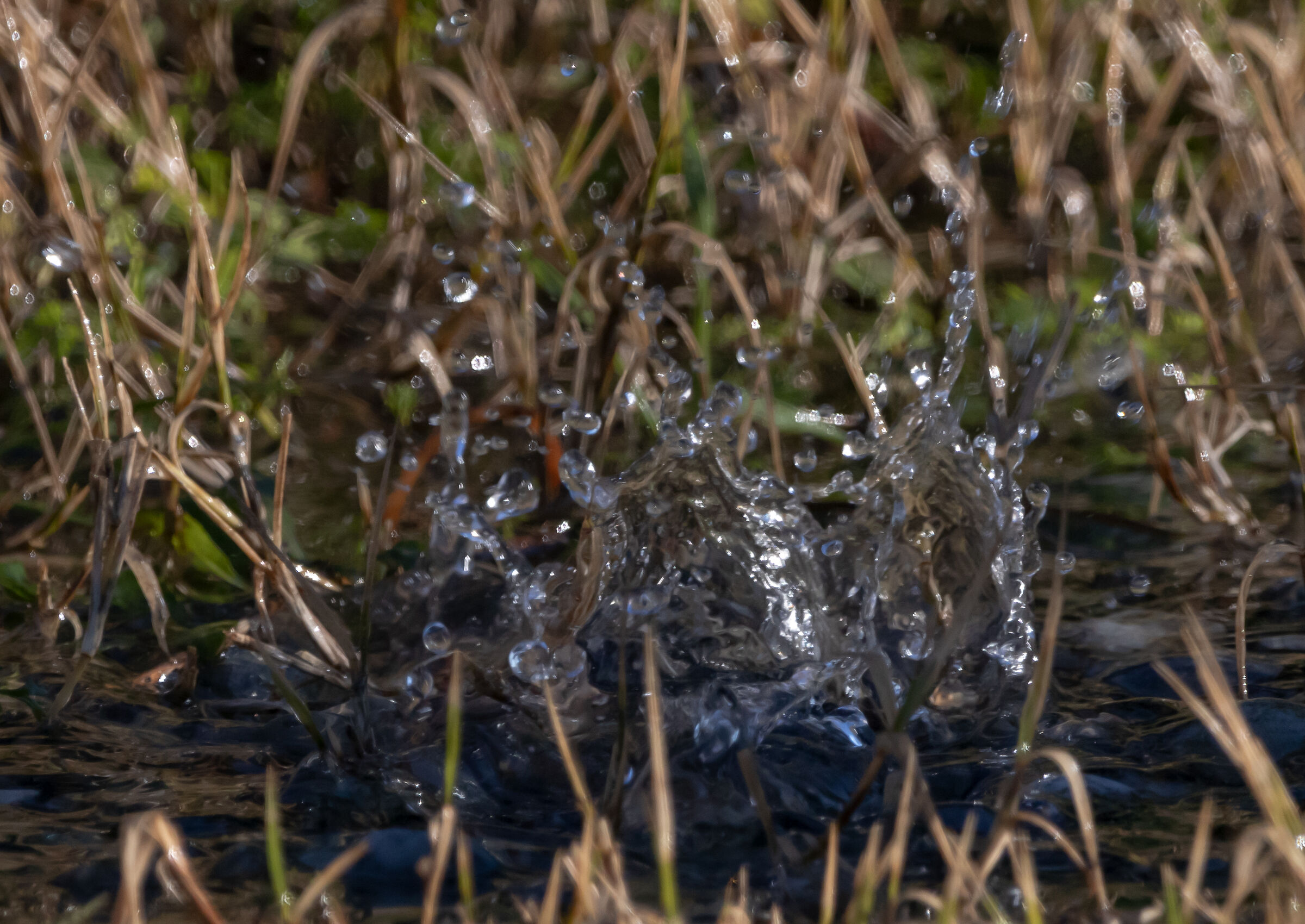gocce che cadono a terra da un rimorchio 11/12/2021