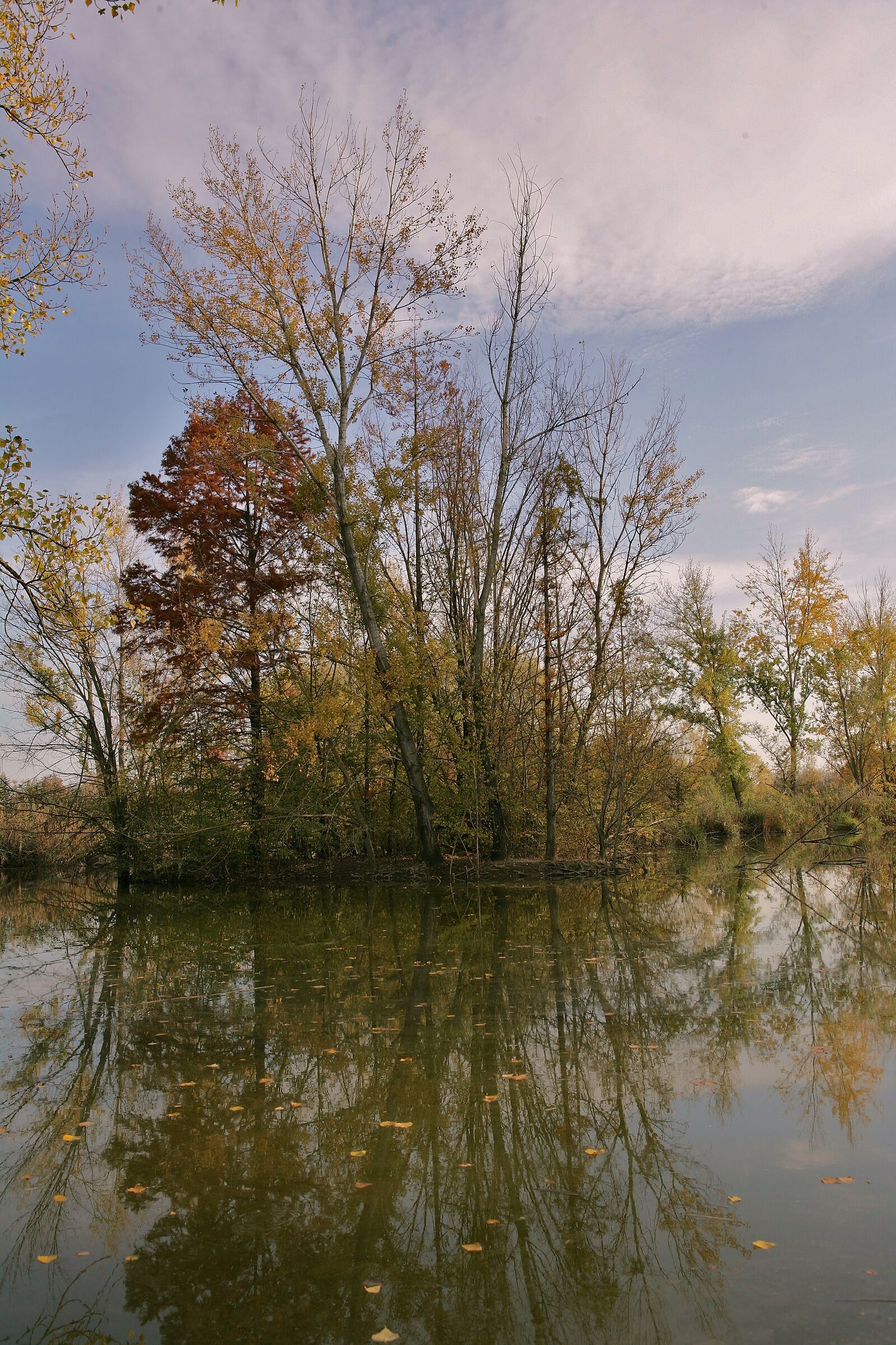 Parco Ferrari modena