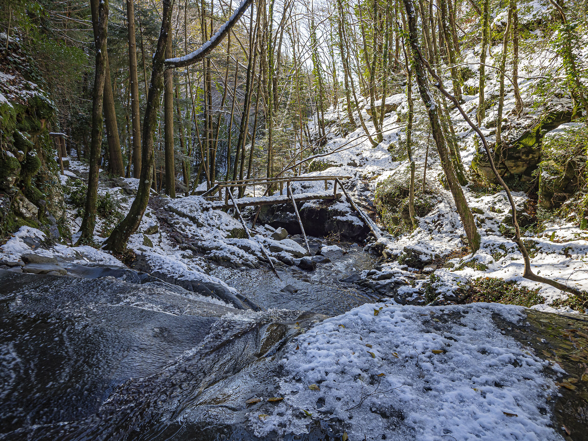 On the CAI22 path of Pratomagno (AR)