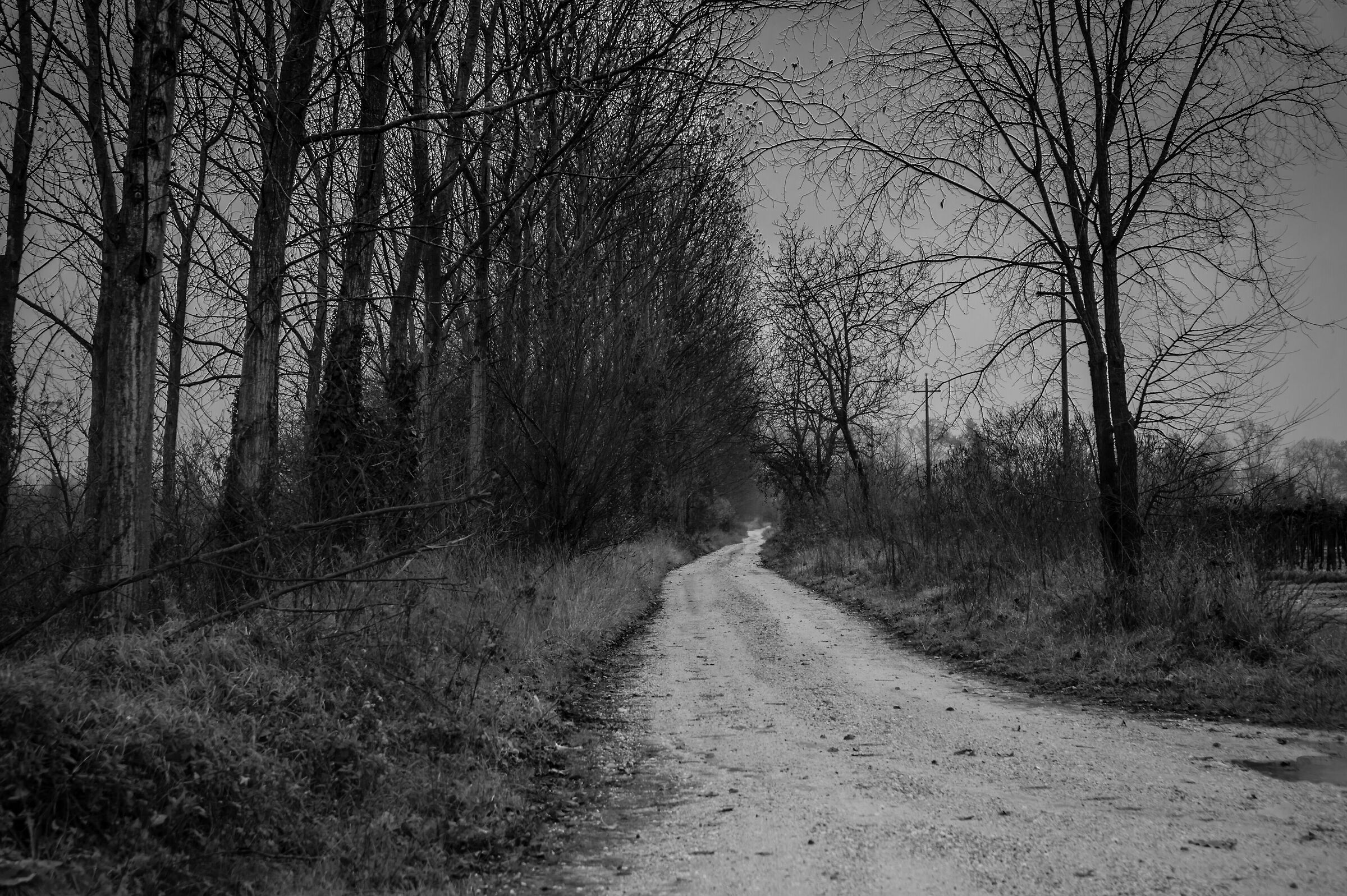 stradina in campagna