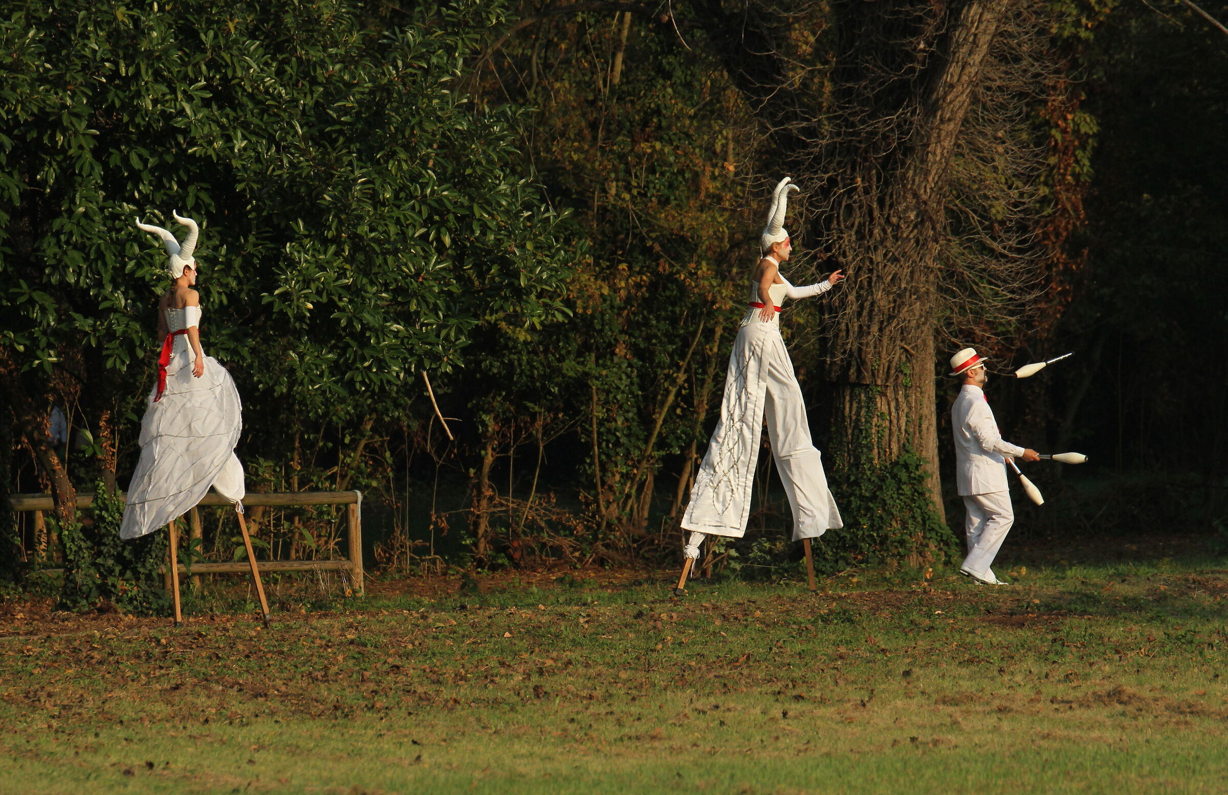 everything is lawful