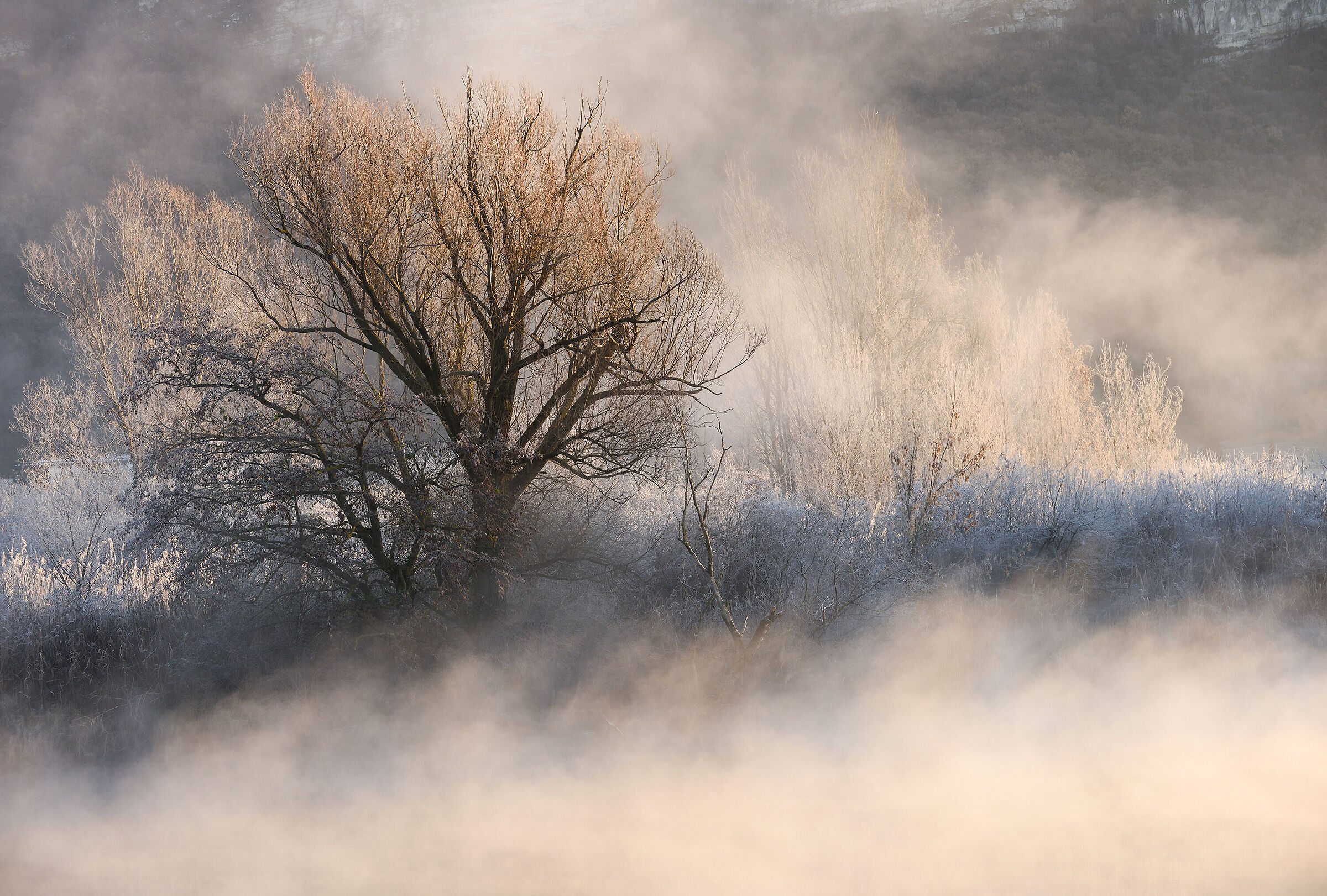 the colors of the cold
