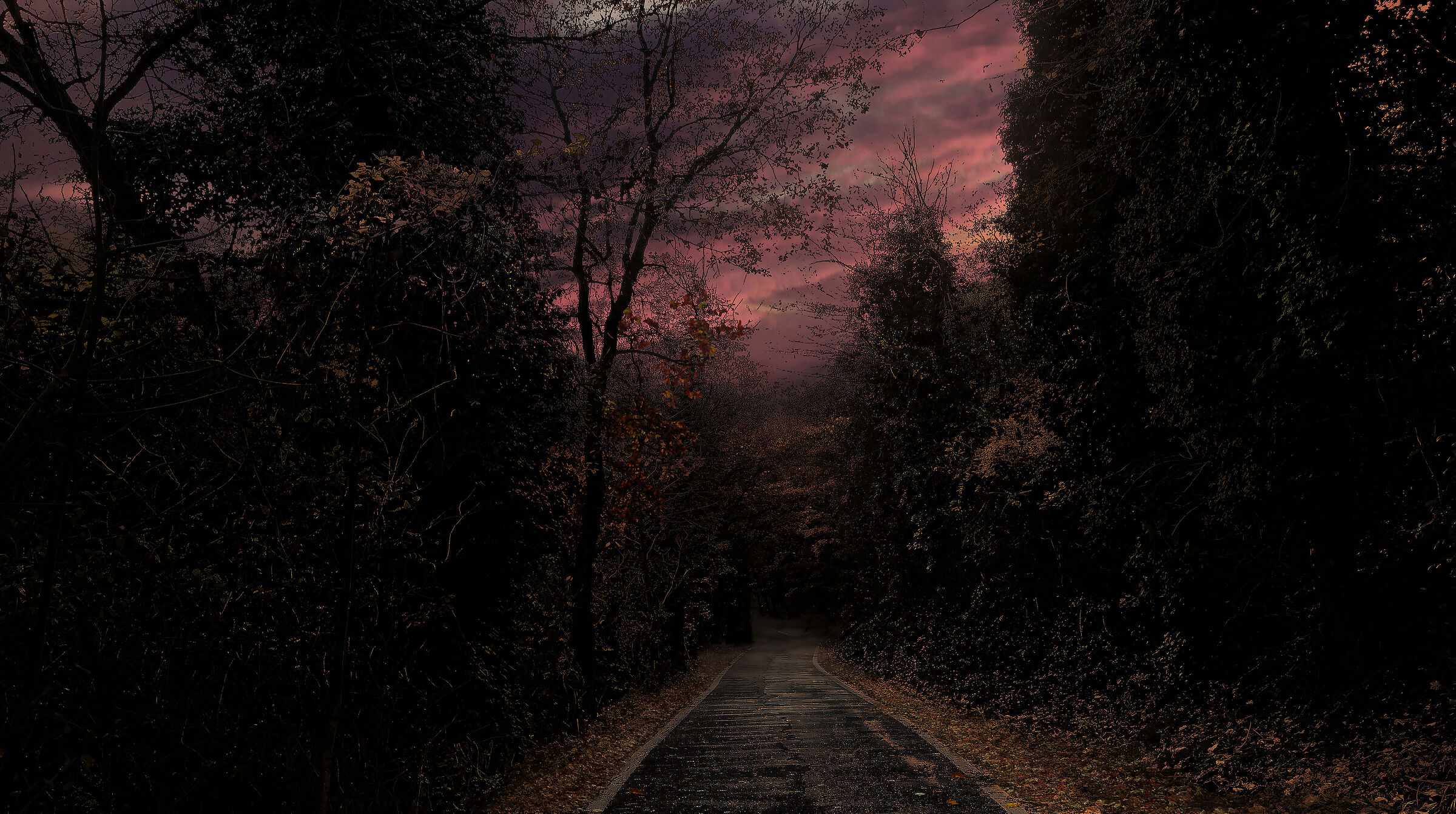 The Avenue of Sunset