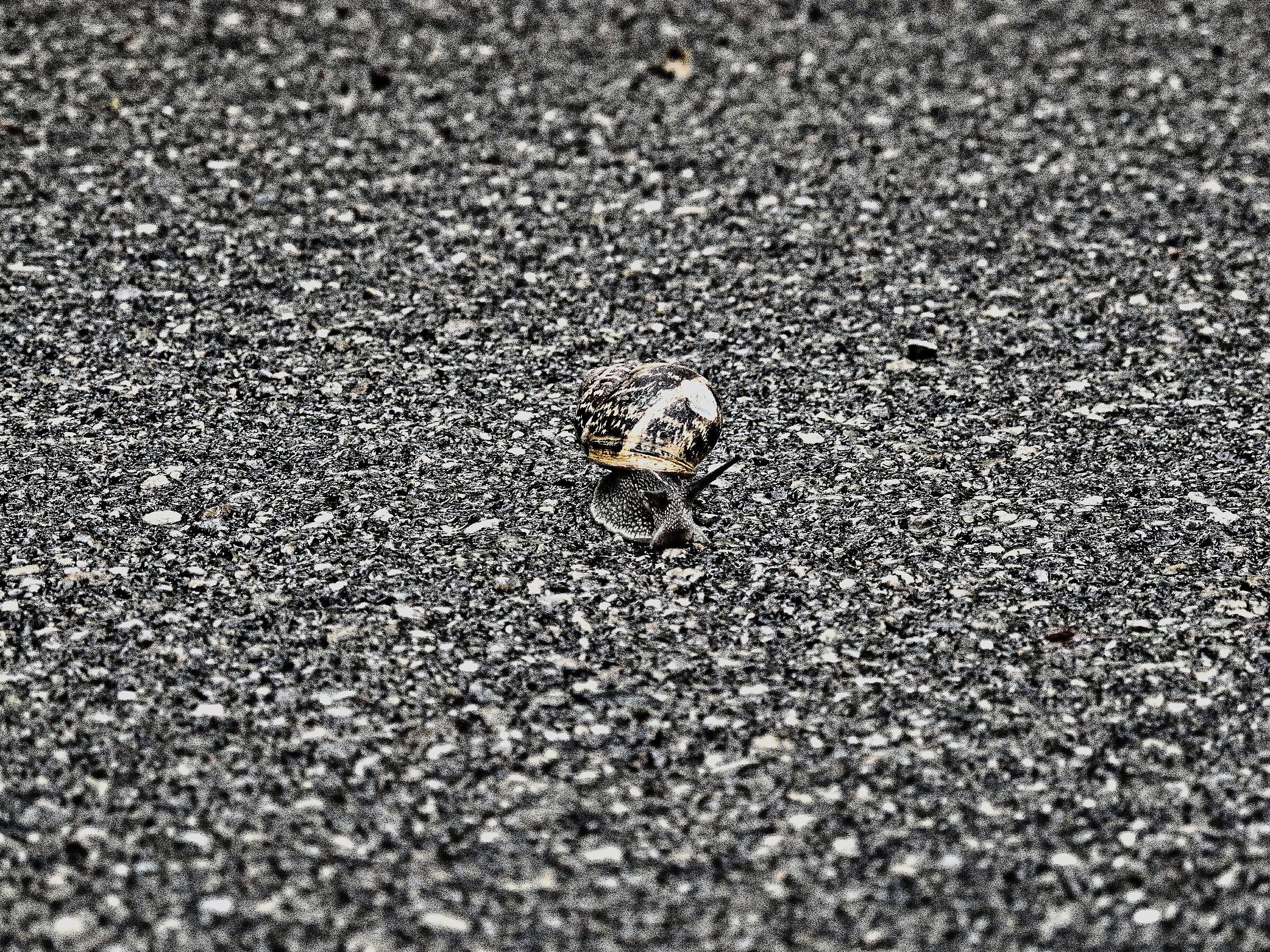 camminando lentamente