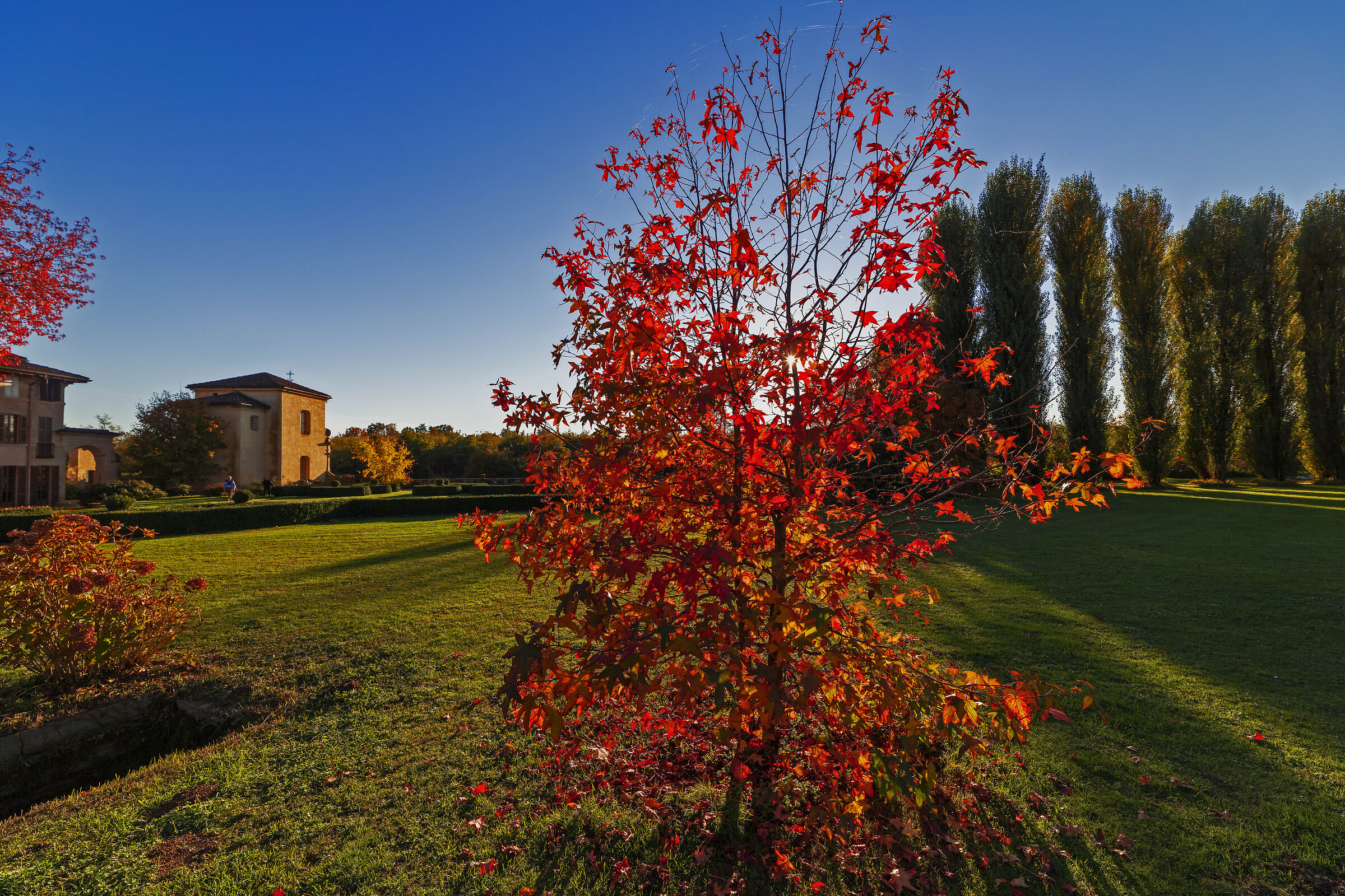 A villa on the Naviglio Grande