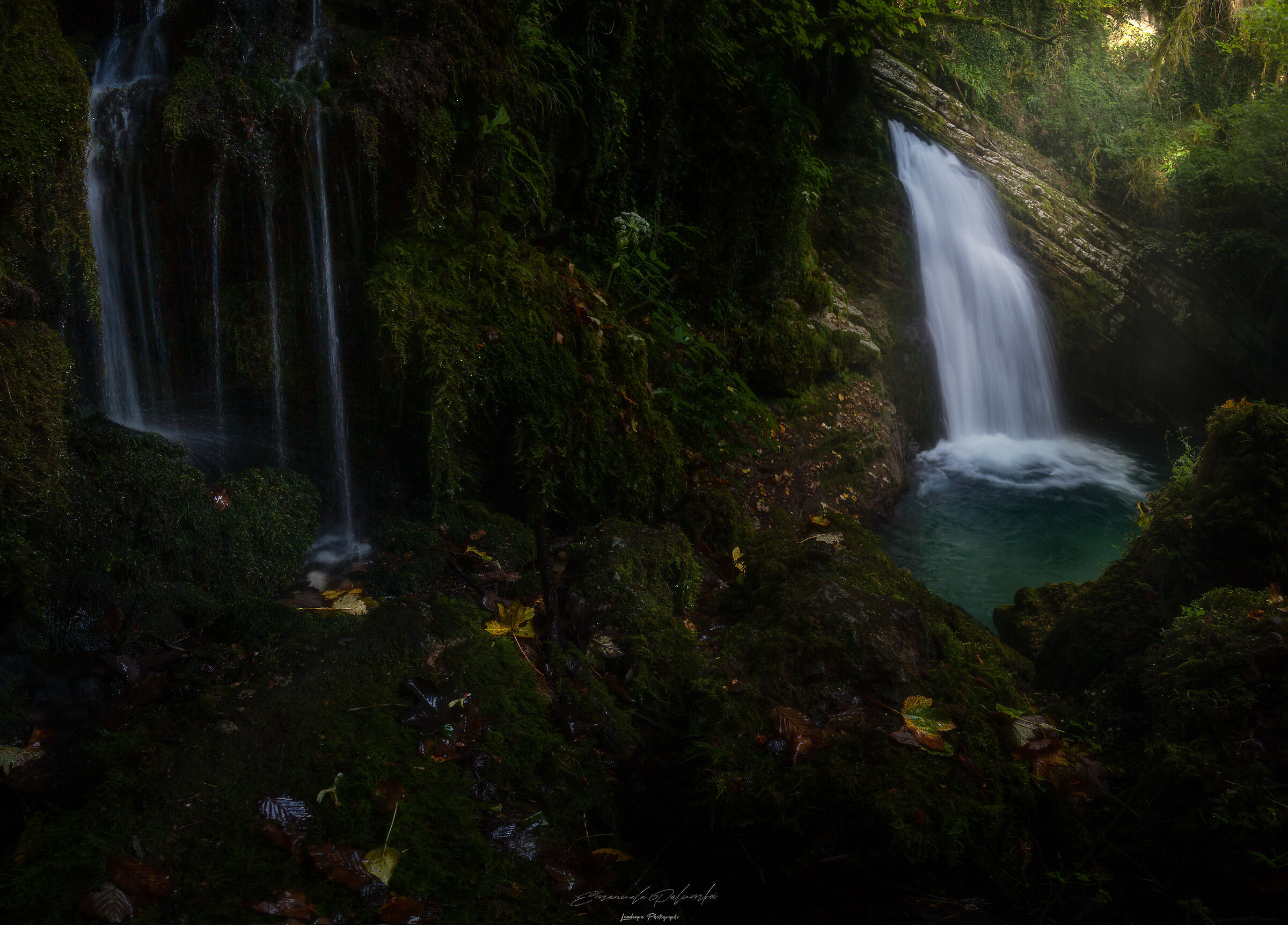 Cascade of Happiness