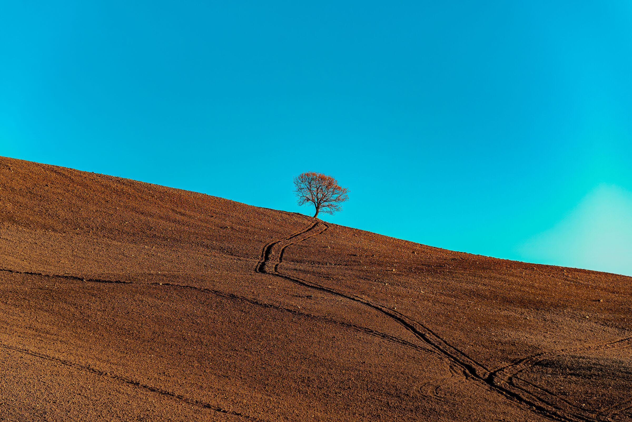 colline presso san casciano terme