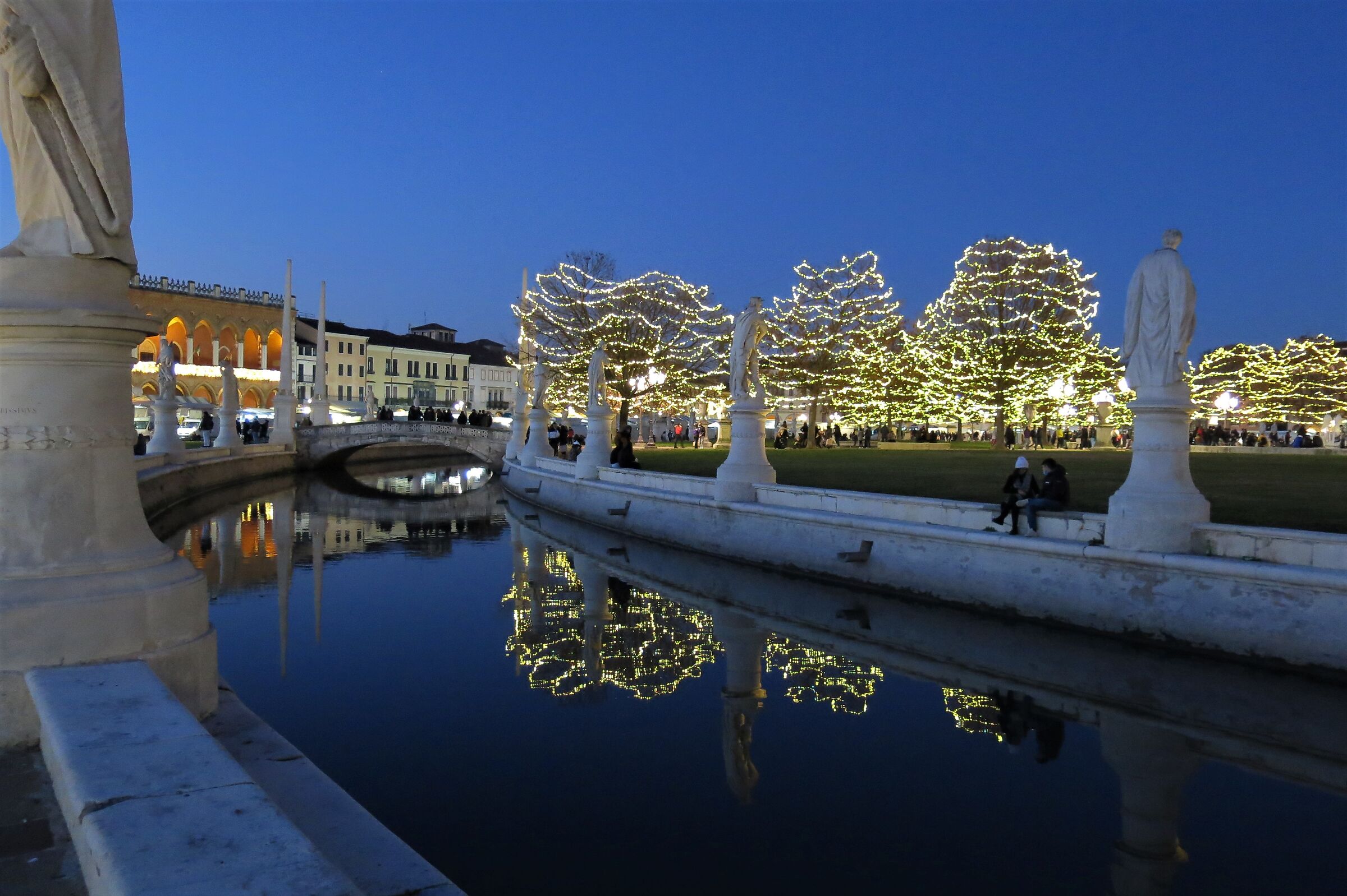 to the lawn at night