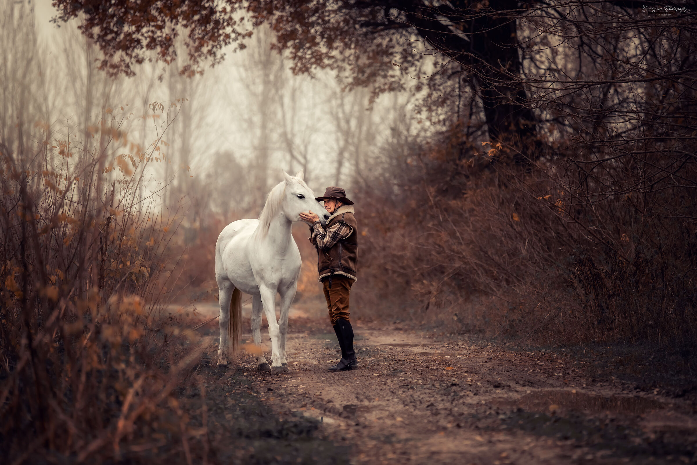 enrico and his infinite love for horses