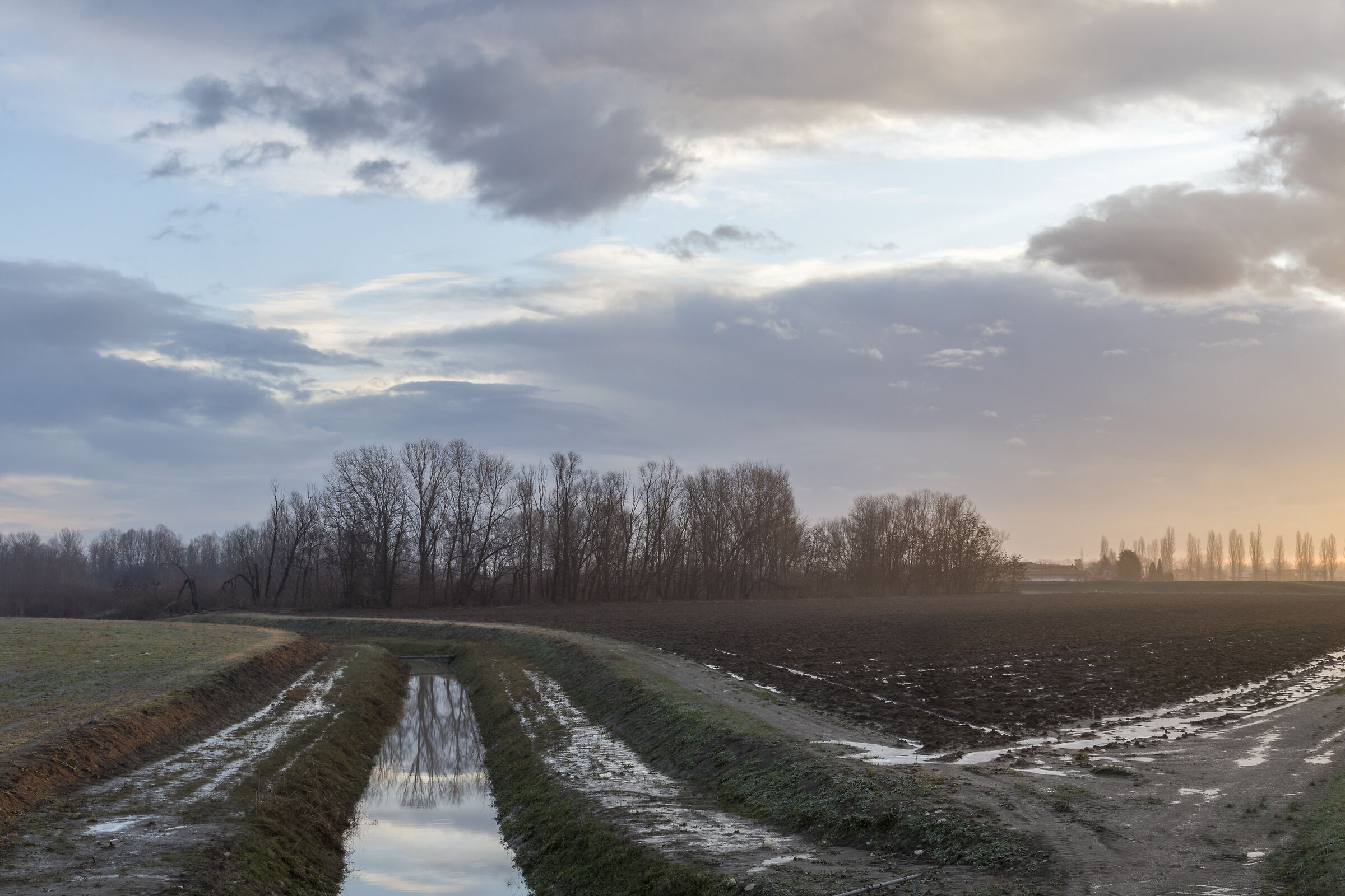 Sunrise after the rain
