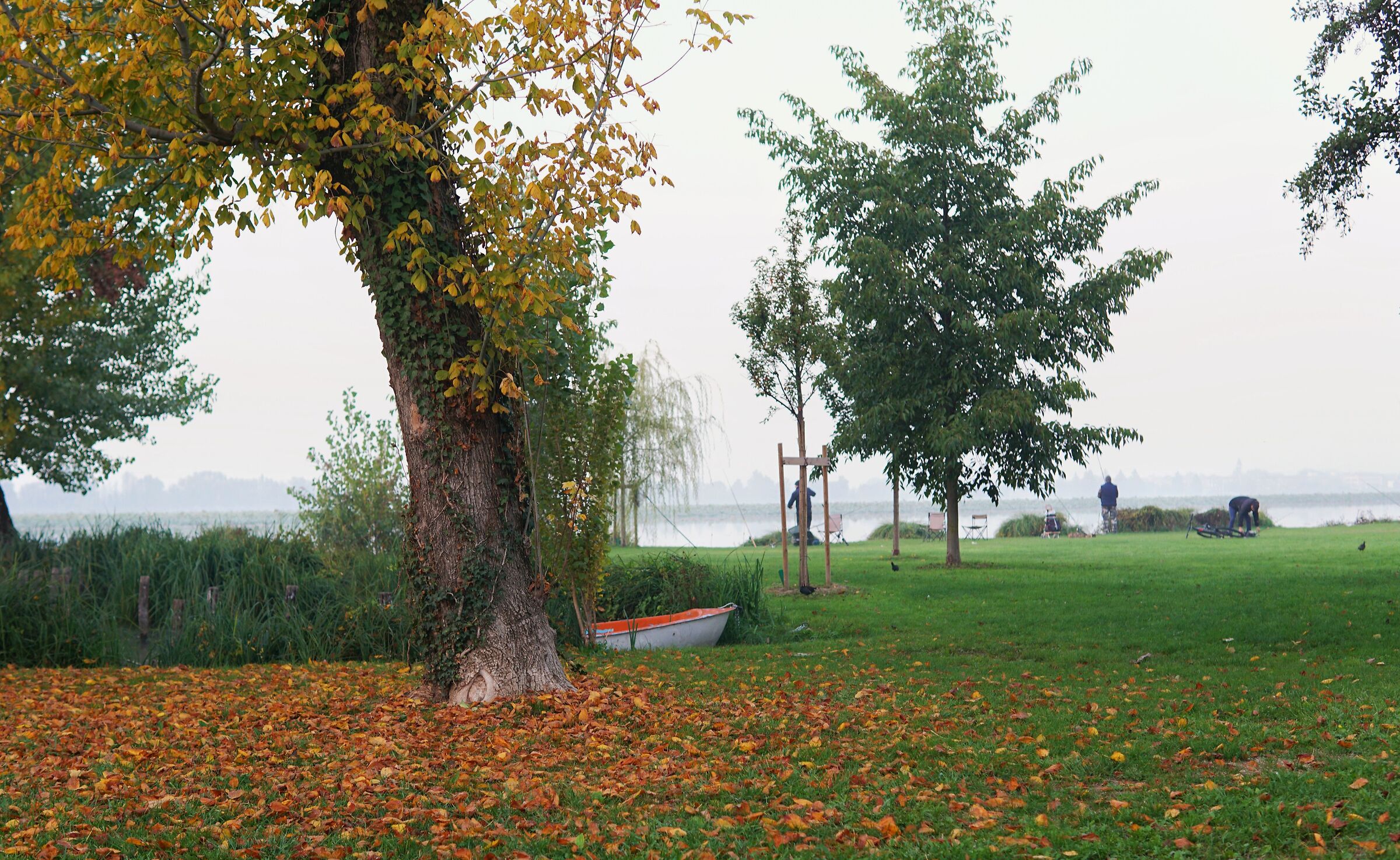 Autumn at the Lake