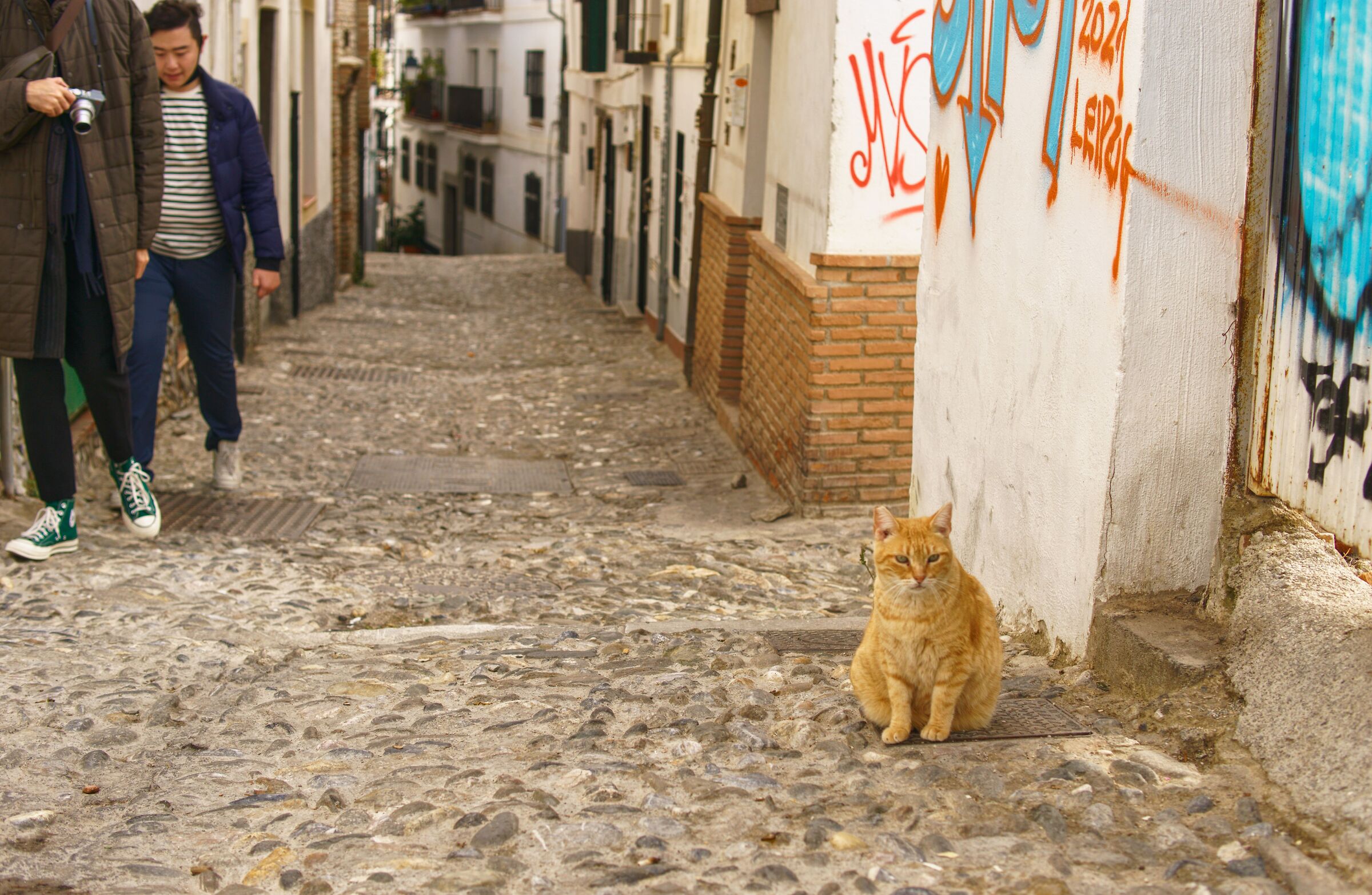 Getting lost in the alleys
