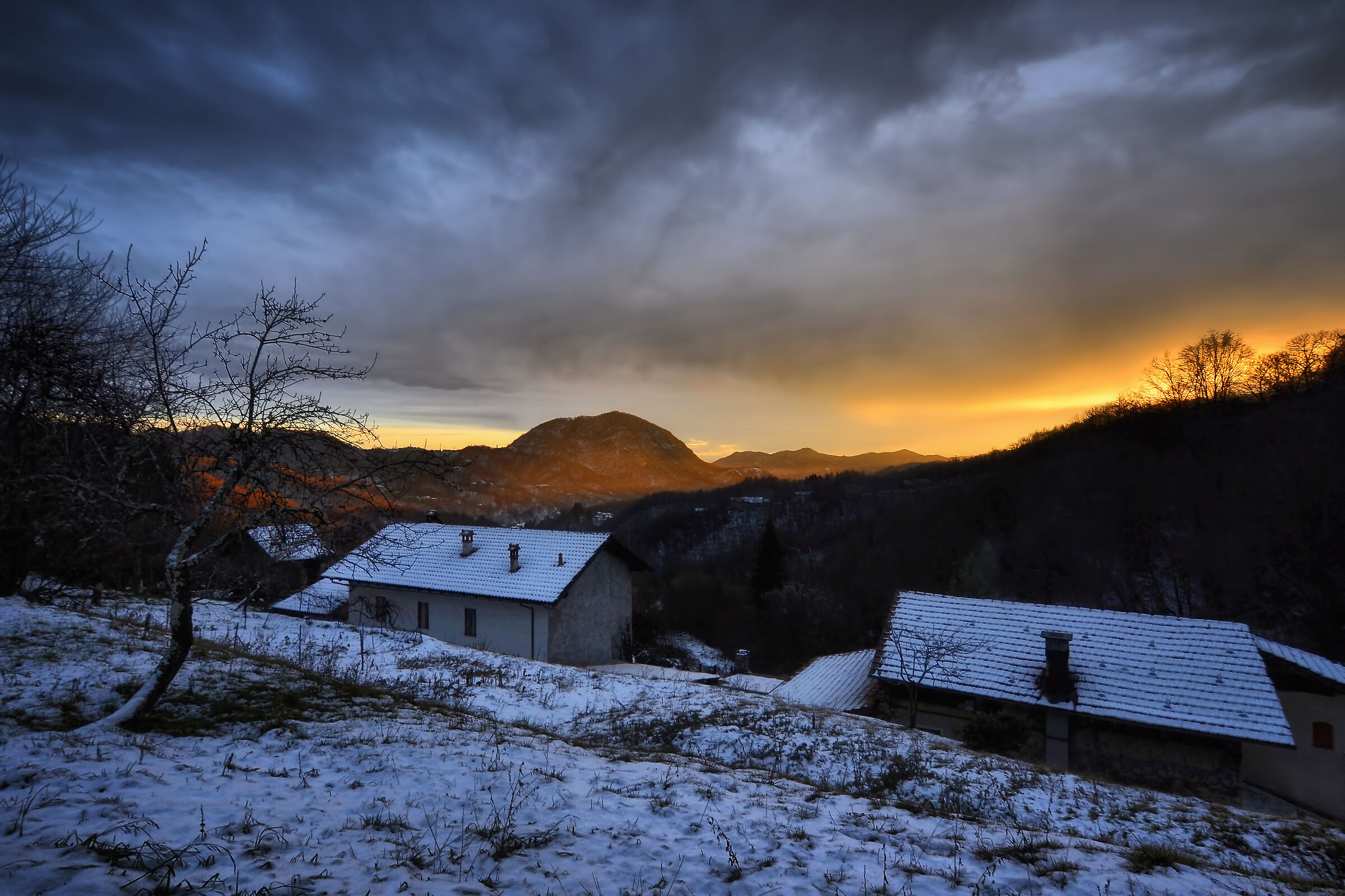 From the meadows of childhood