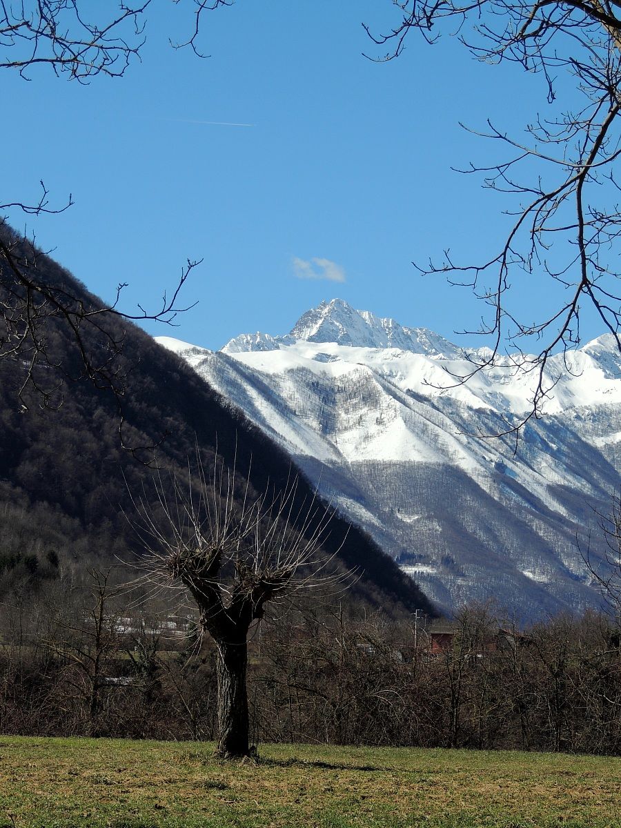 tip of the crazy view from the valley posture