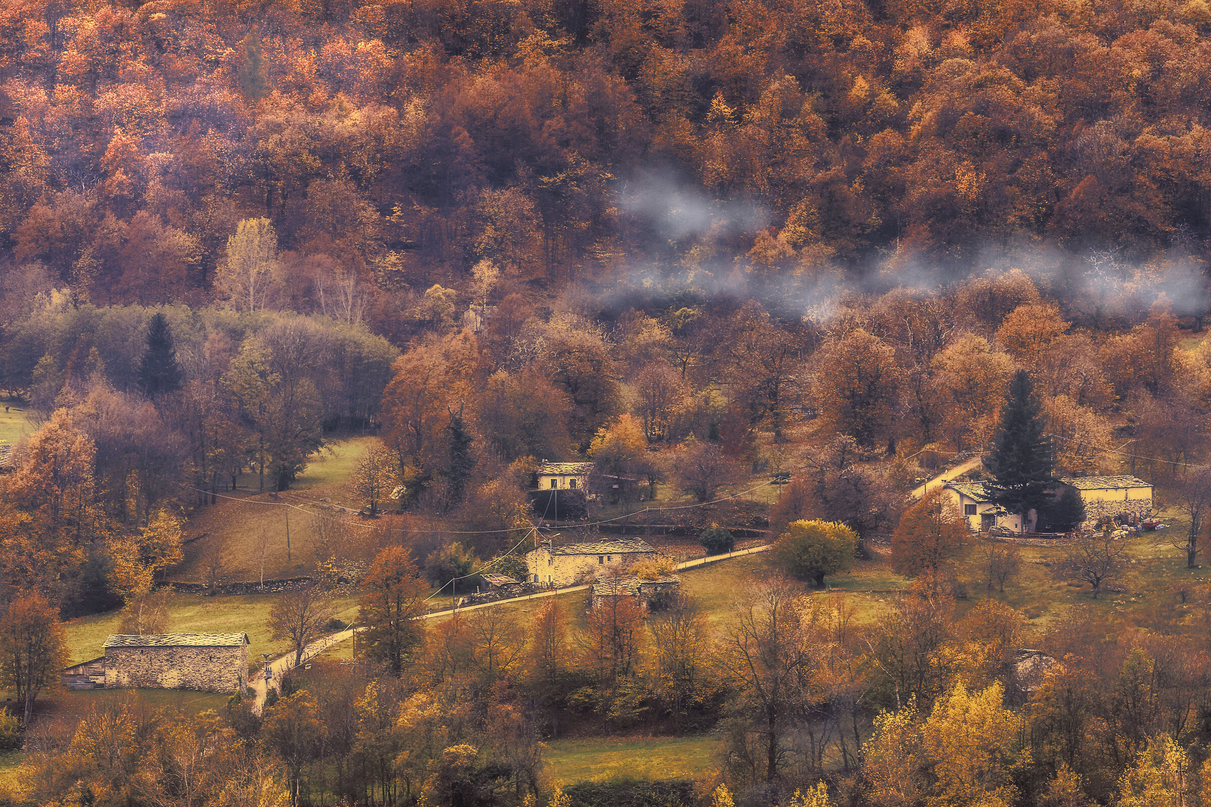 One day in the fall