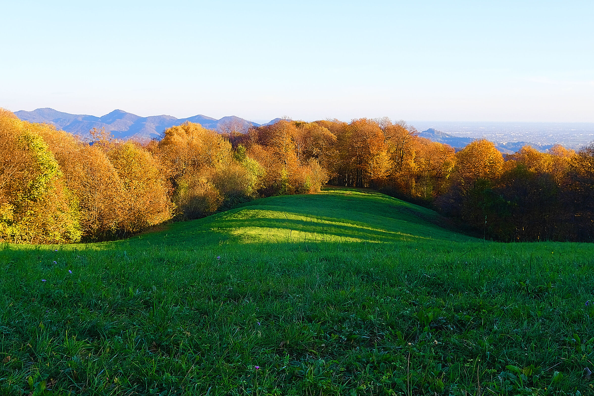 Pedemontana al tramonto autunnale