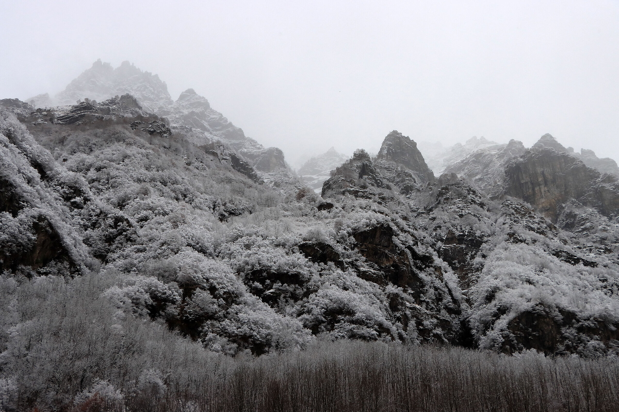 the charm of the "cold"