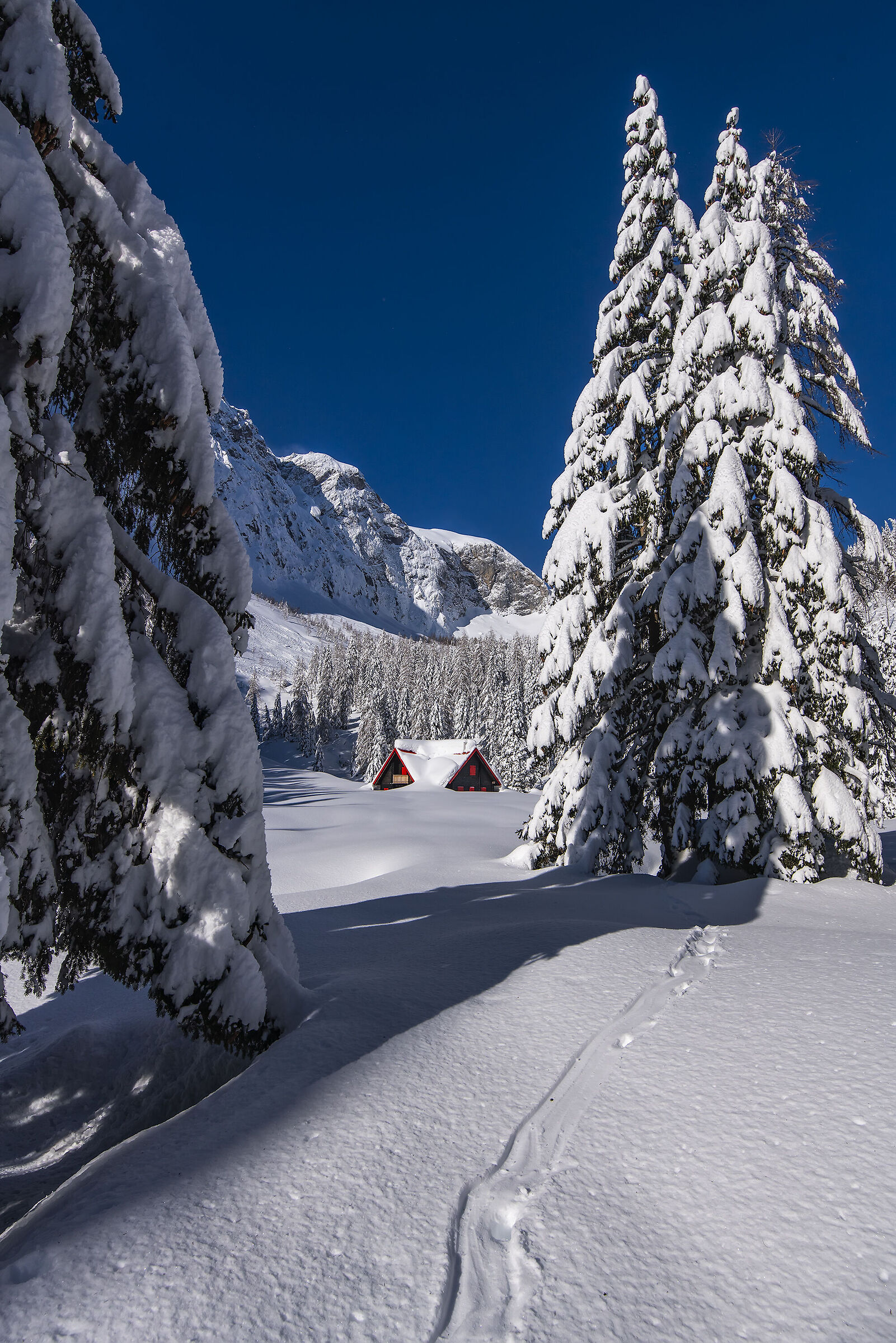 Hut Vinkel Border Carnic Alps