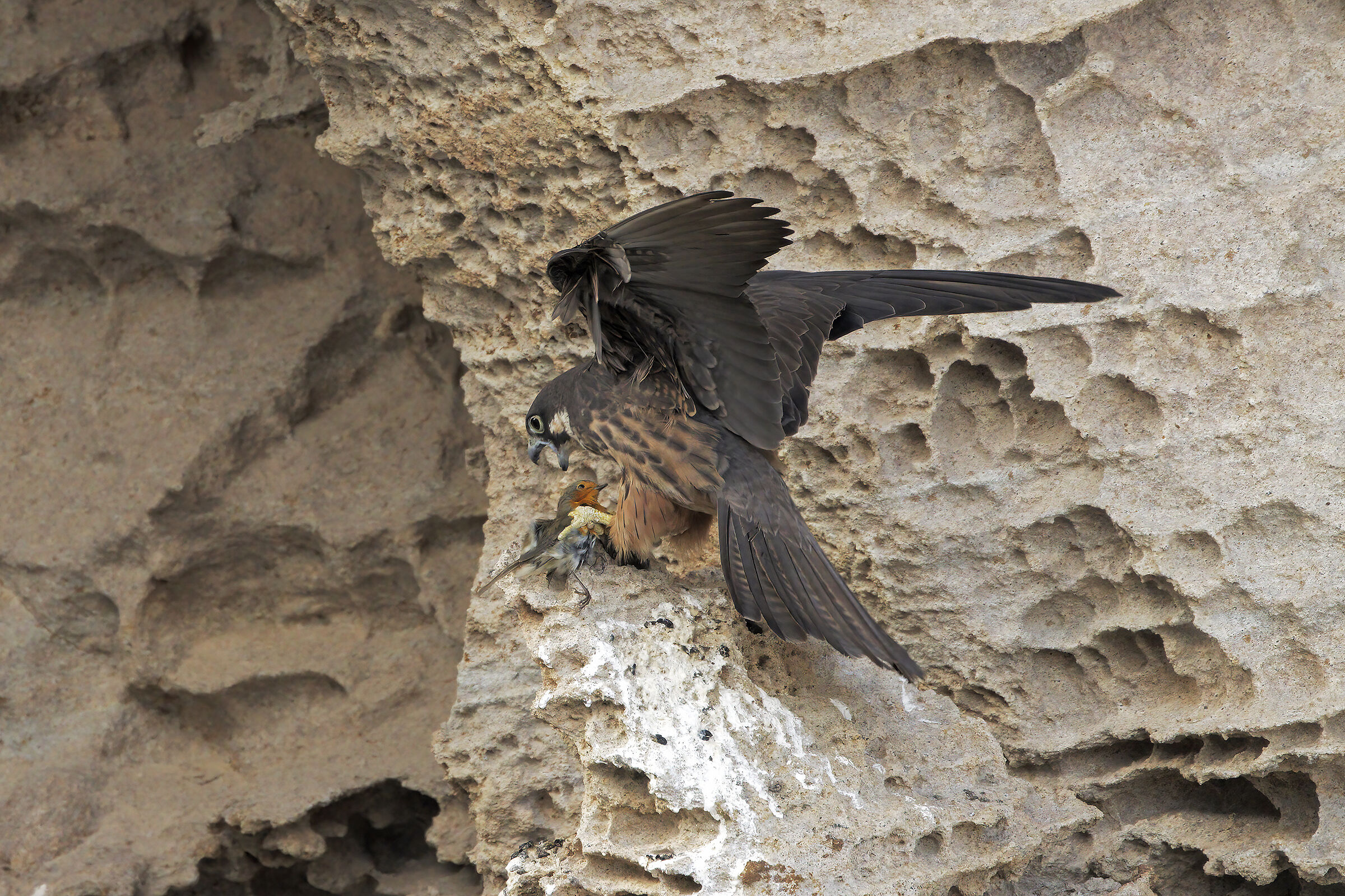 Among the cliffs of San Pietro