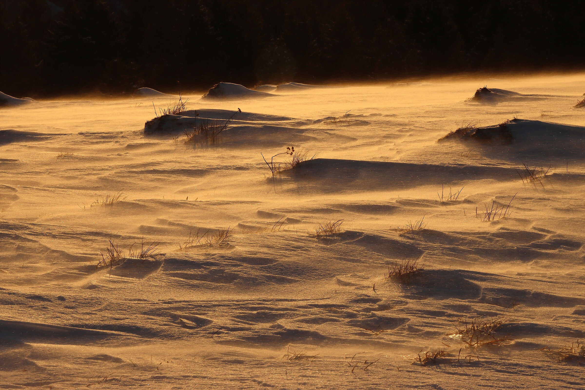l'impeto del vento all'alba