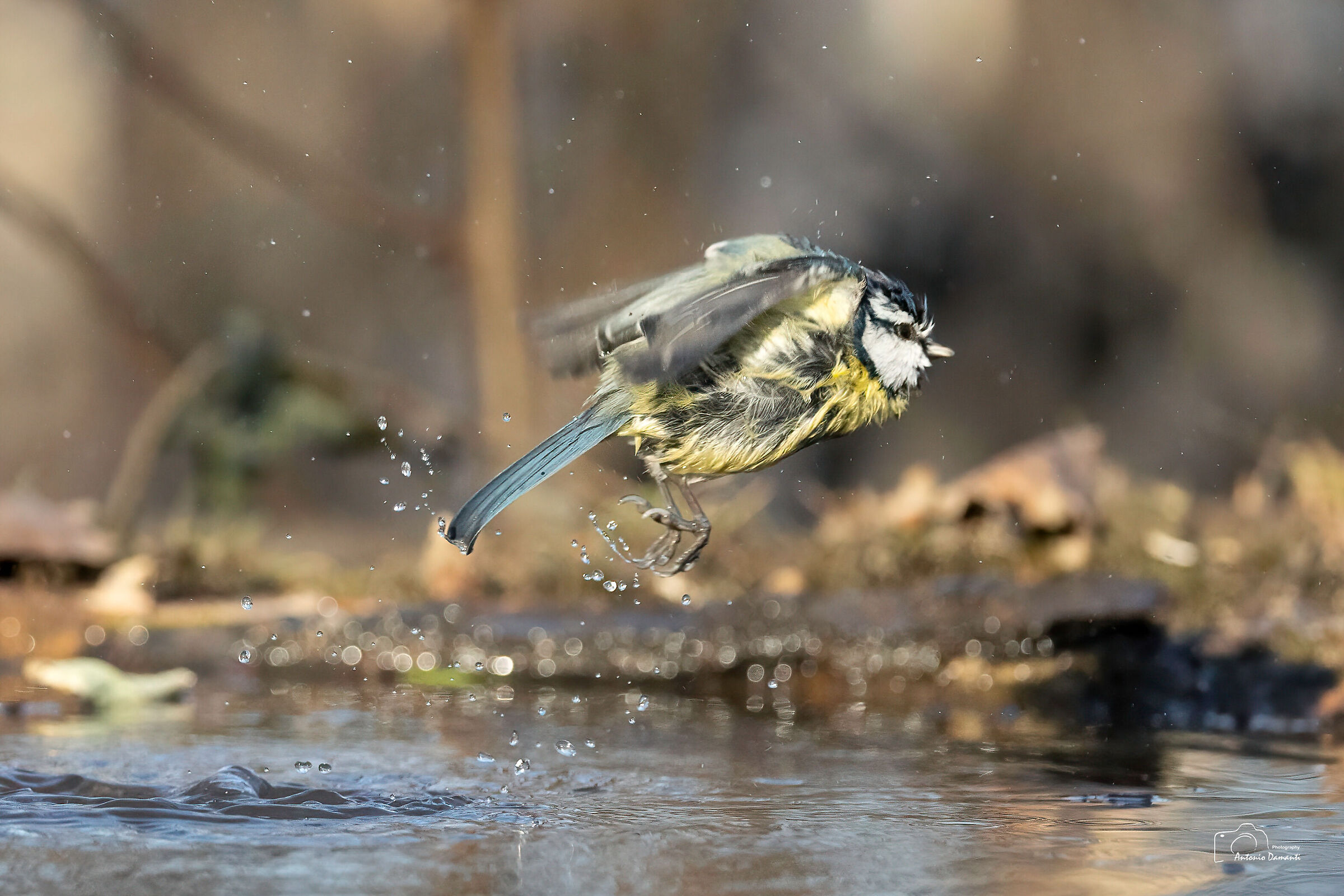 Wet flight, flight ...