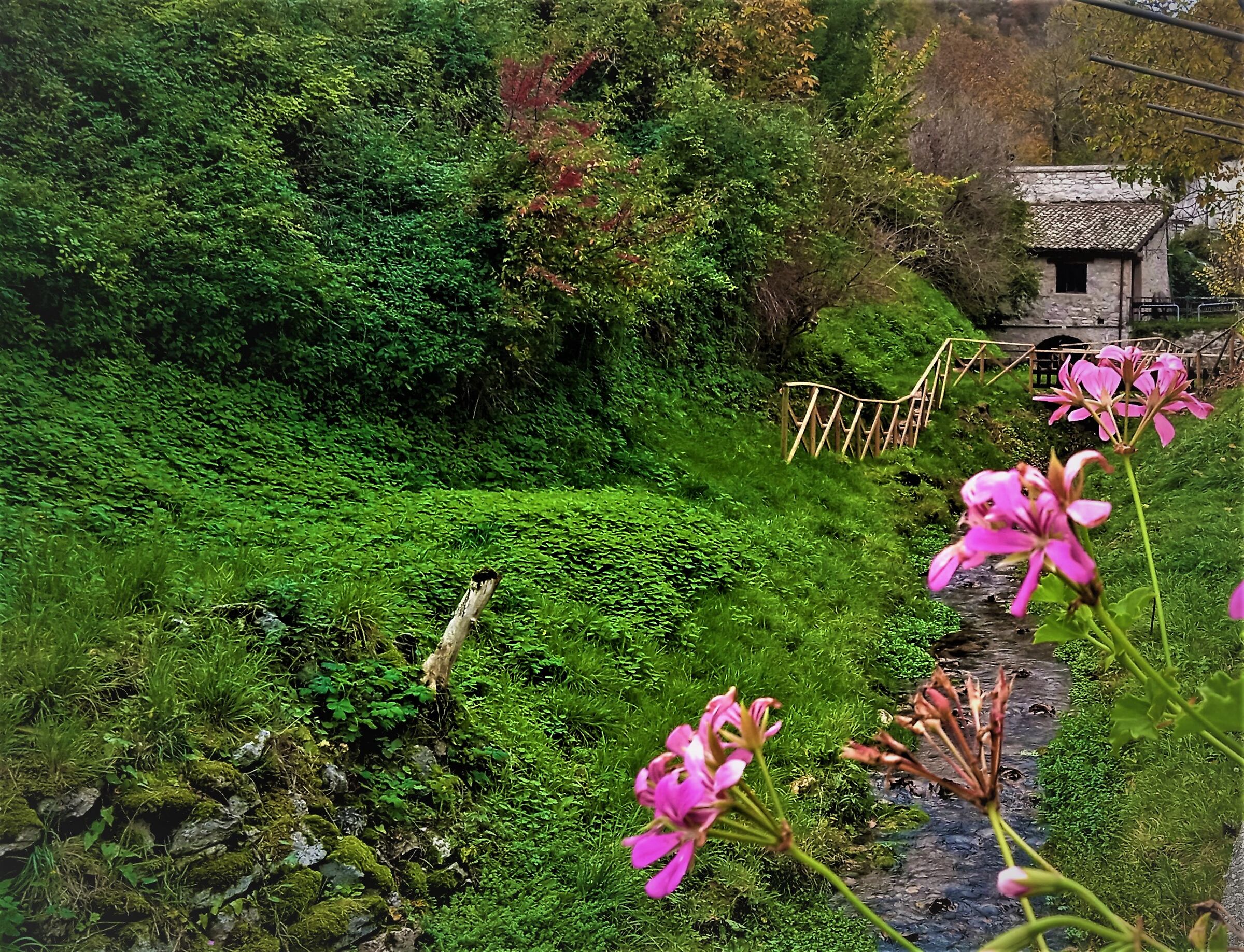 il sentiero  delle  acque