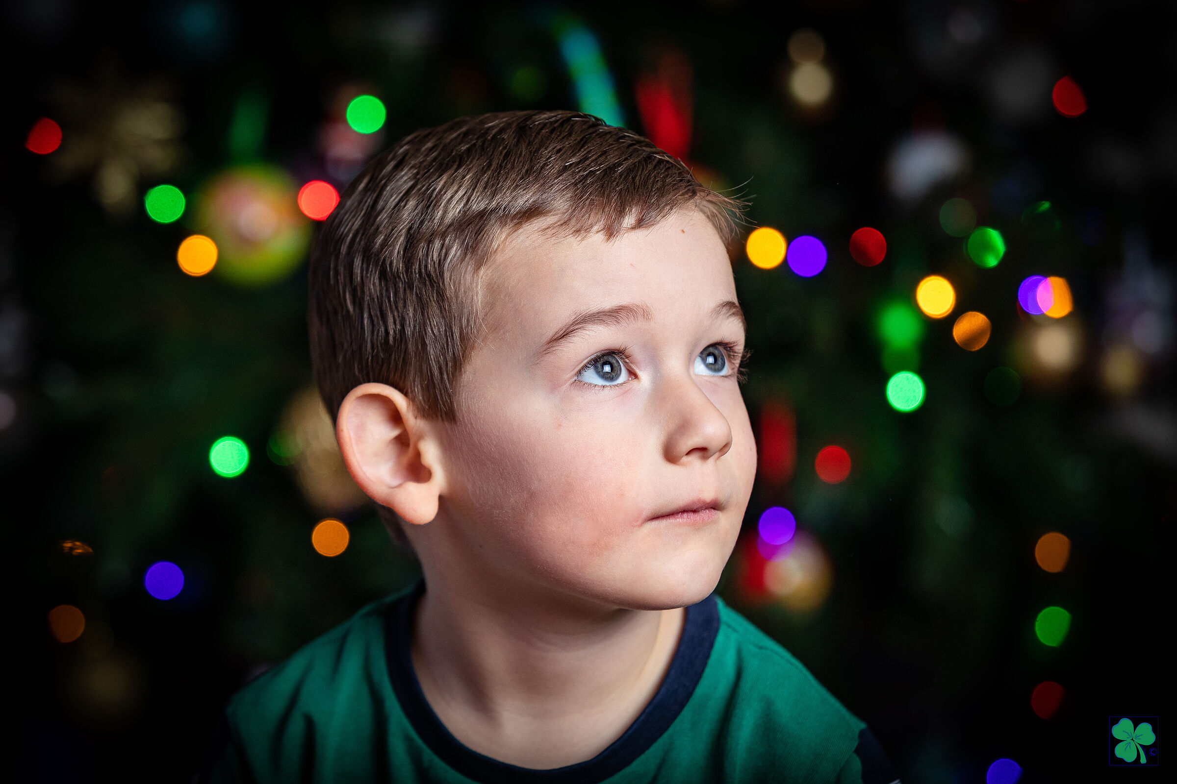 Aspettando il Natale