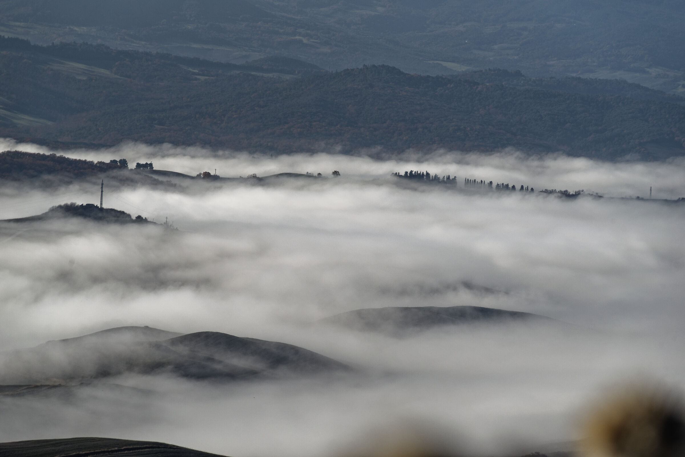 Nebbia..... colline Toscane